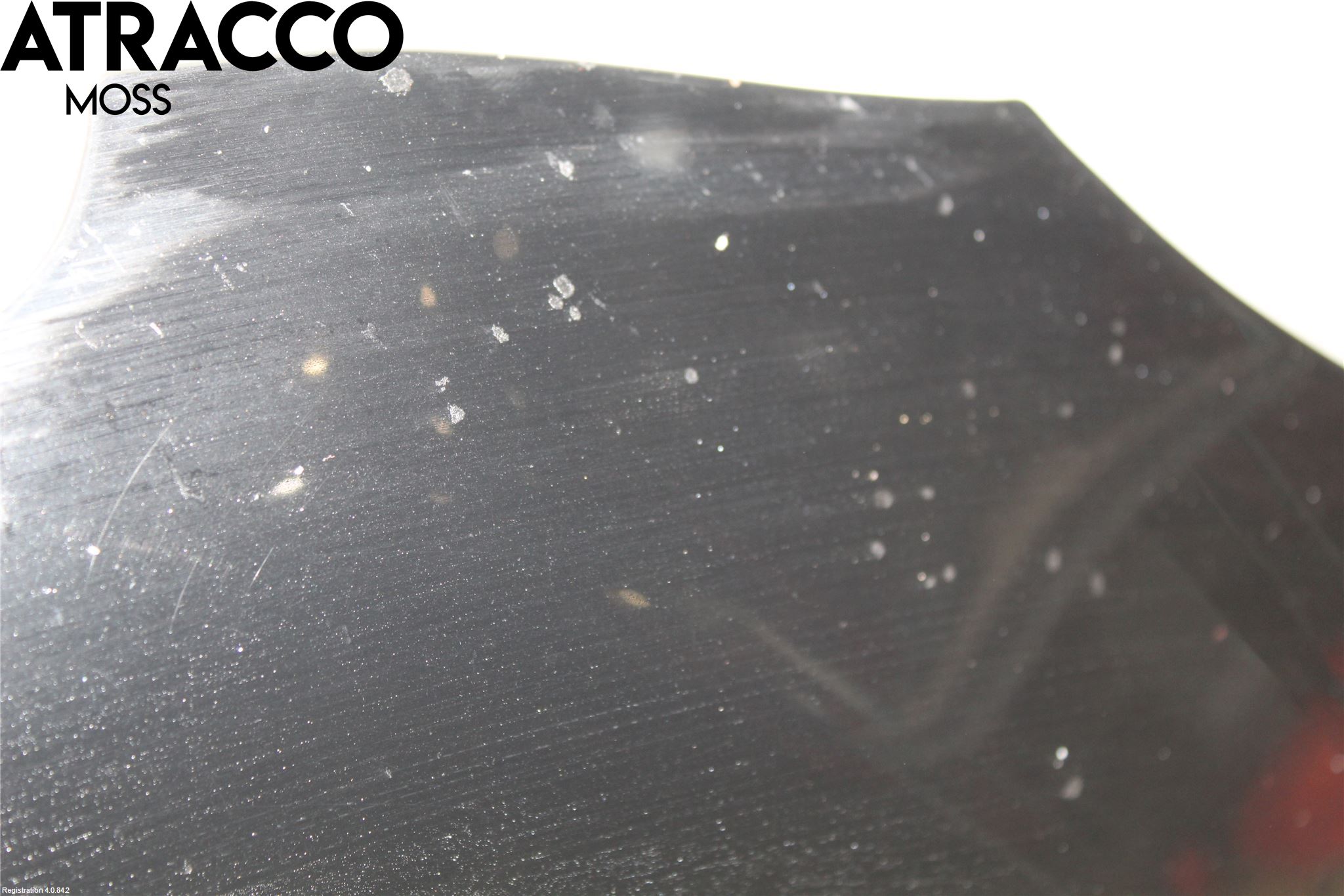 Toyota RAV 4 06-12 Panser