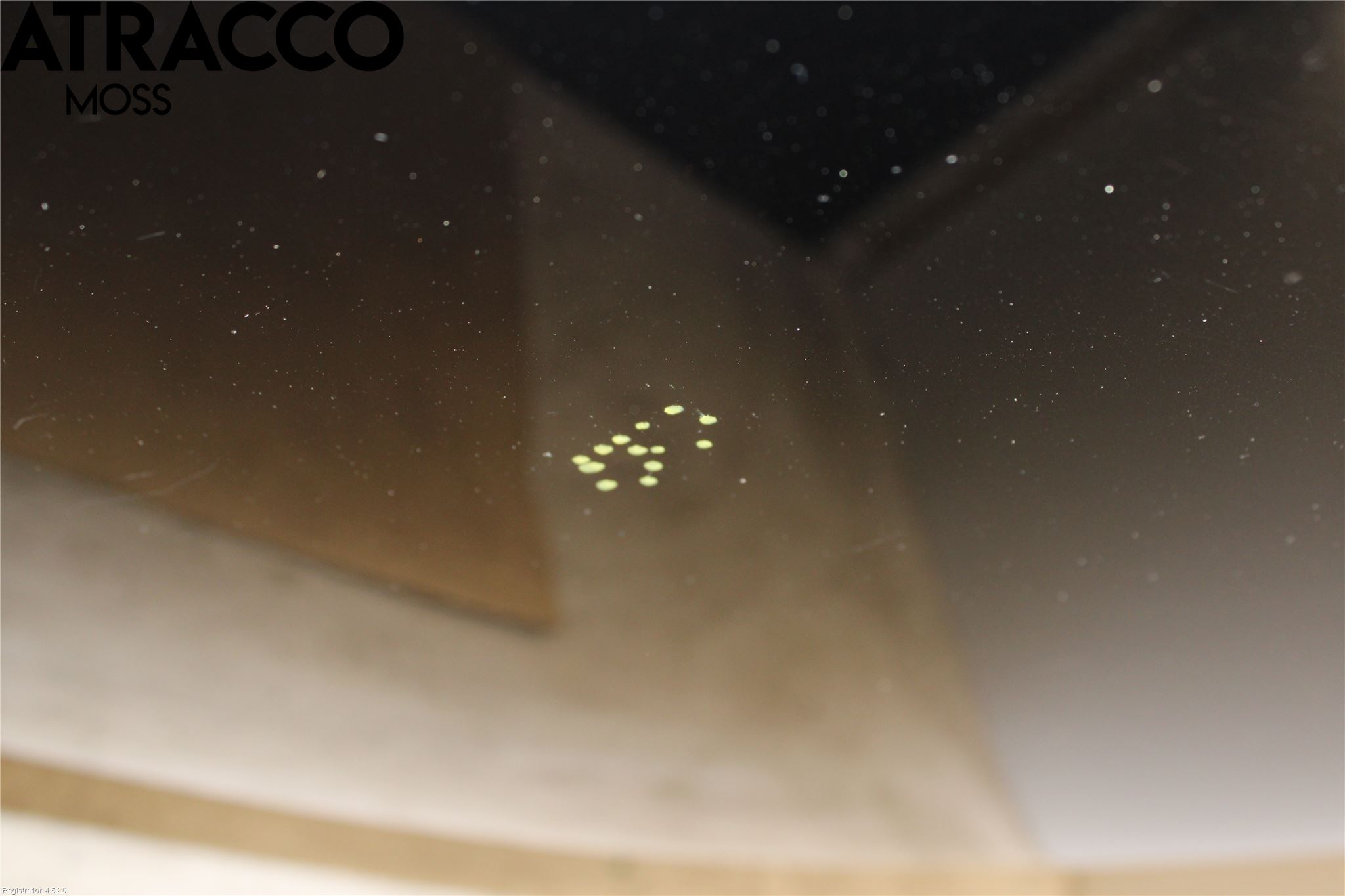 Audi A6/S6     05-11 Panser