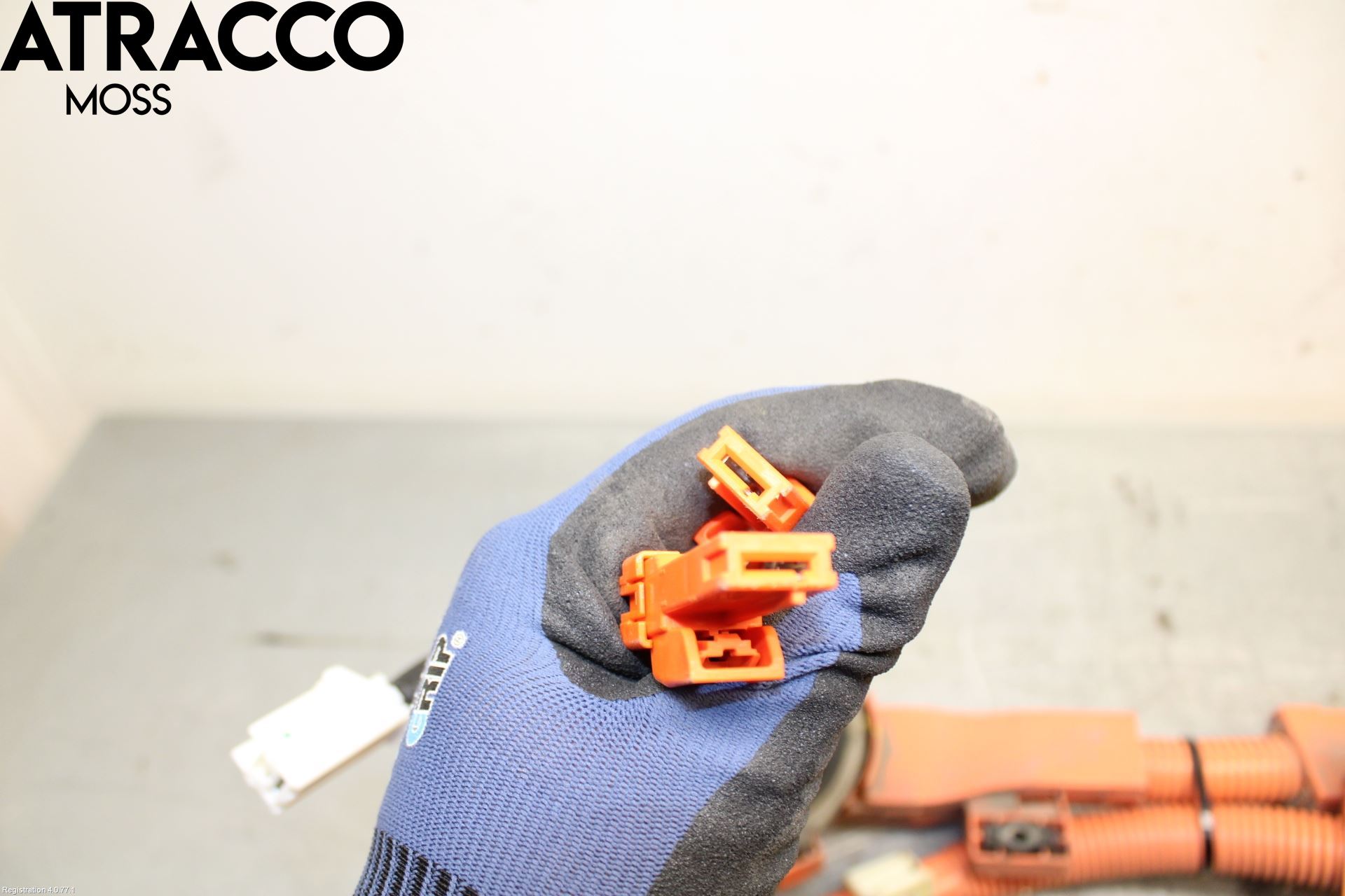 Toyota CAMRY 19-24 Ledningsnett