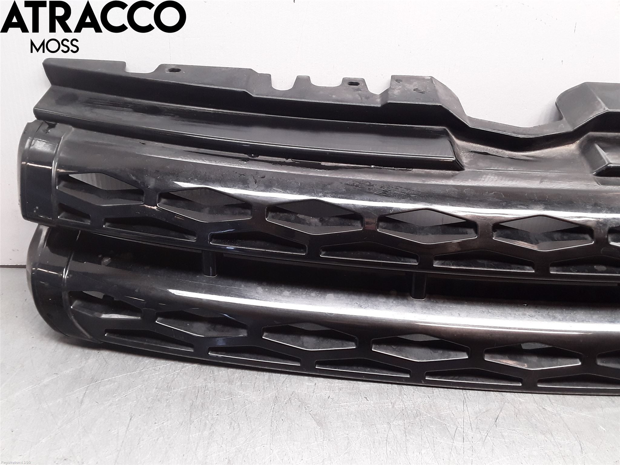 Landrover LAND ROVER RANGE ROVER EVOQUE (L538) 11-18 Grill Ramme