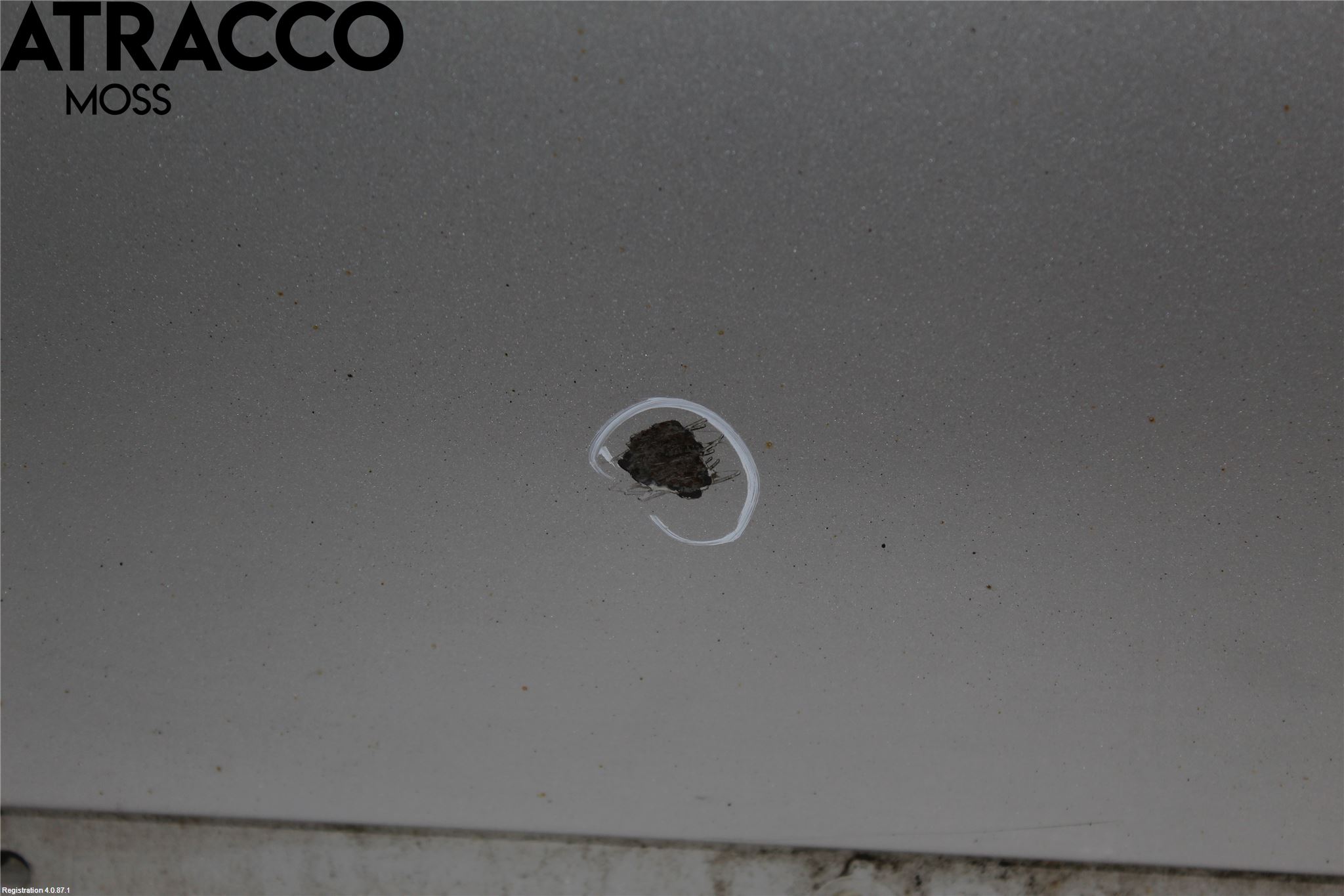 Volvo V50 04-07 Dør 4D Bak Venstre