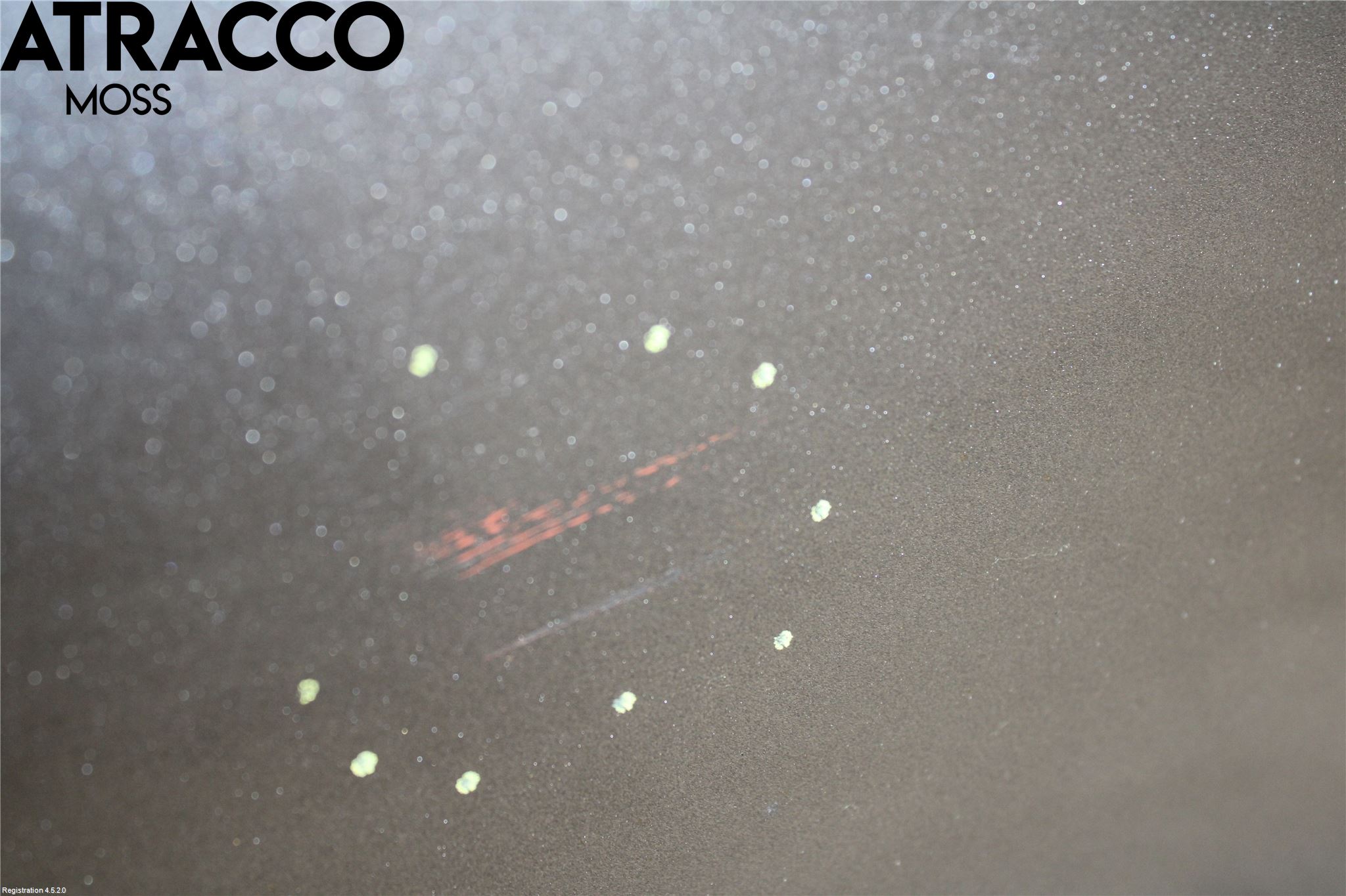 Nissan LEAF 18- Dør 4D Foran Venstre