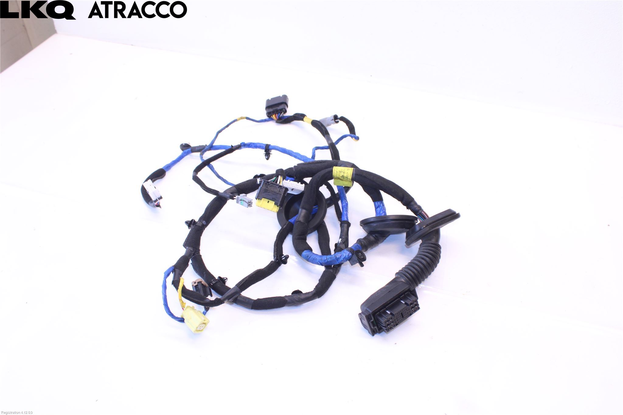 Hyundai IONIQ AE 17-22 Ledningsnett