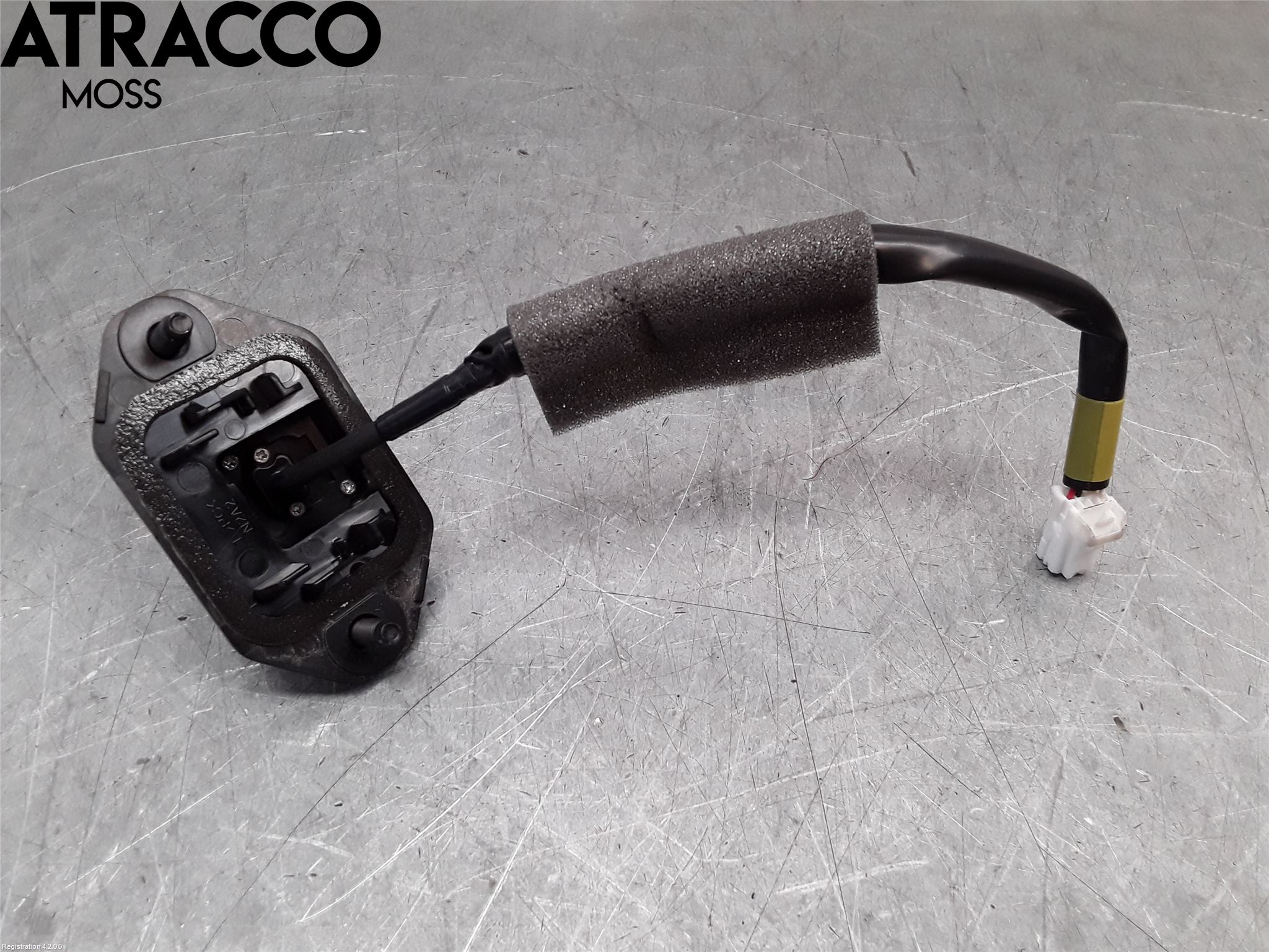 Nissan LEAF 18- Parkeringshjelp Kamera