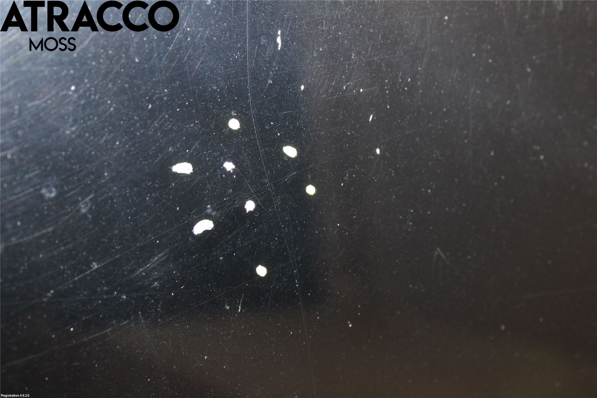 Toyota PRIUS ZVW30 09-20 Panser