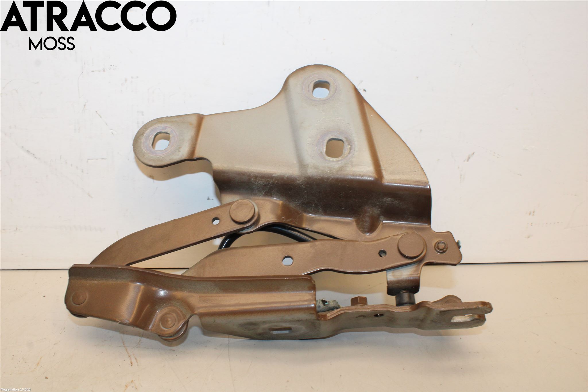 BMW X1 E84 10-15 Panser Hengsel - Hengsler