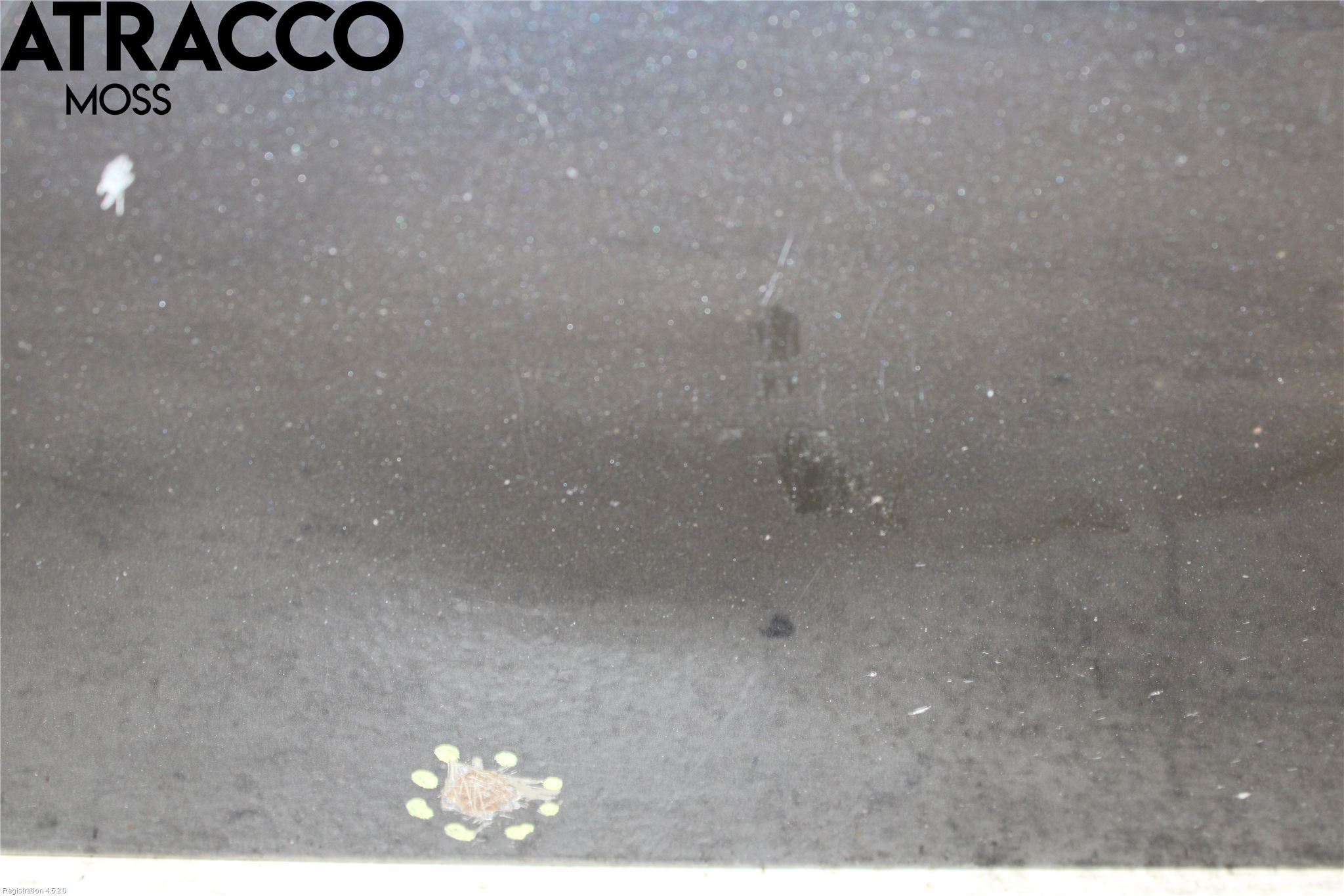 Ford S-MAX 06-15 Dør 4D Foran Venstre