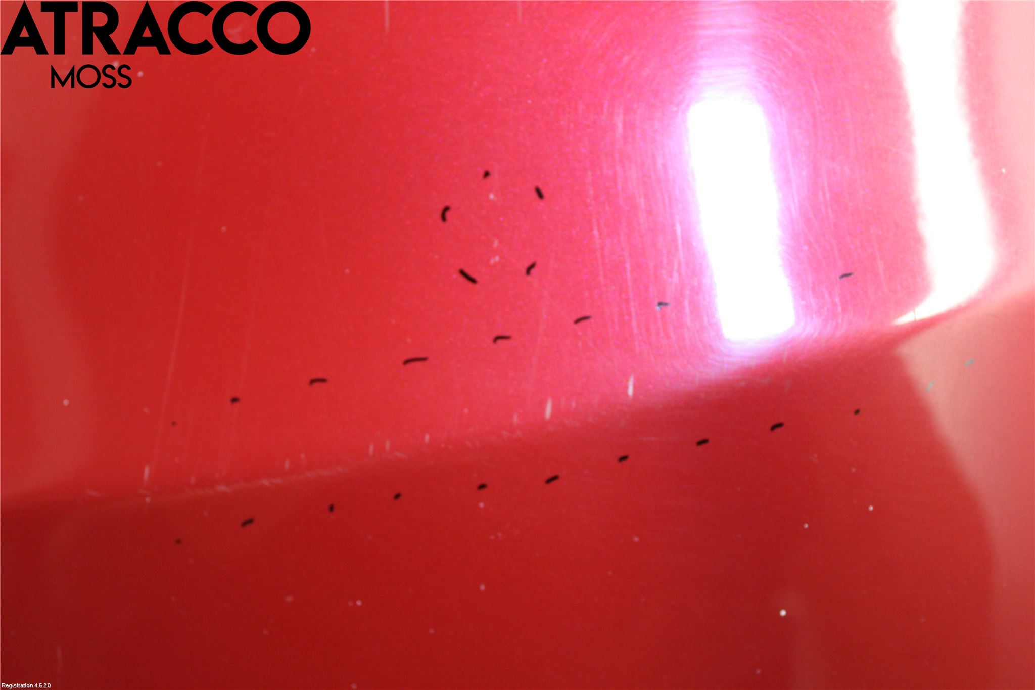 Toyota PRIUS ZVW30 09-20 Panser