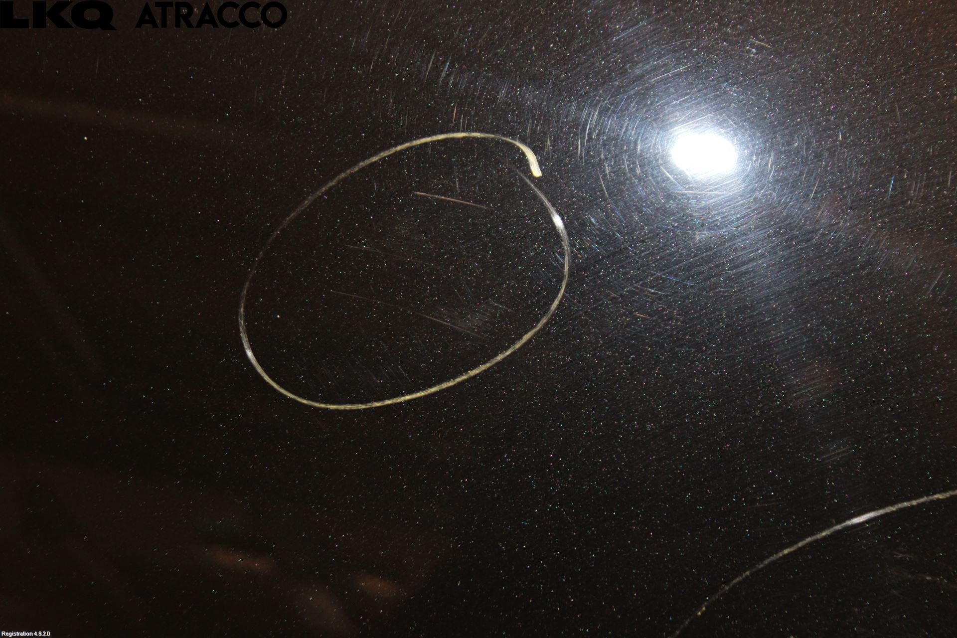 Landrover LAND ROVER RANGE ROVER EVOQUE (L538) 11-18 Panser