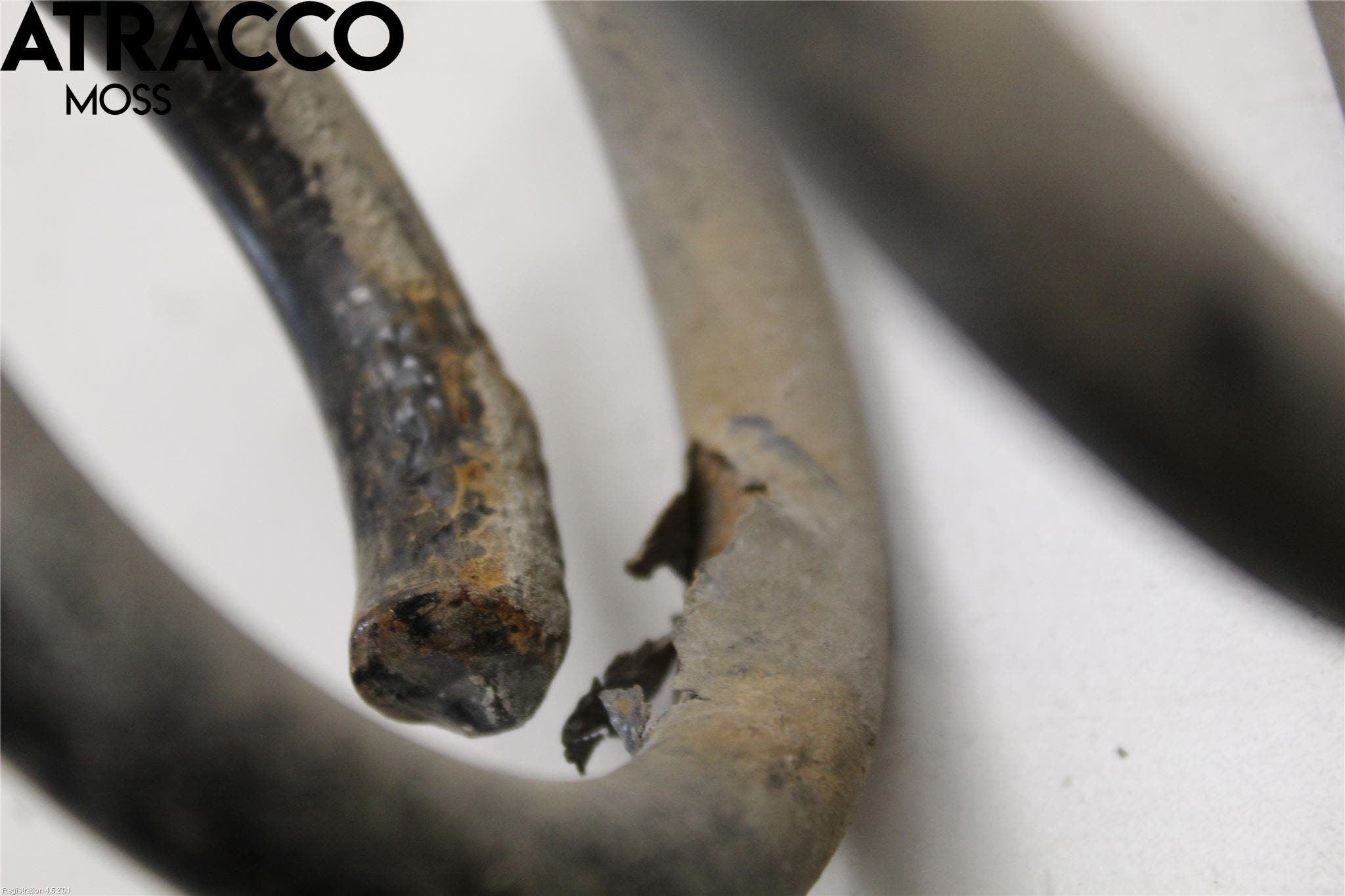 Volkswagen VW PASSAT CC 08-16 Fjær Foran