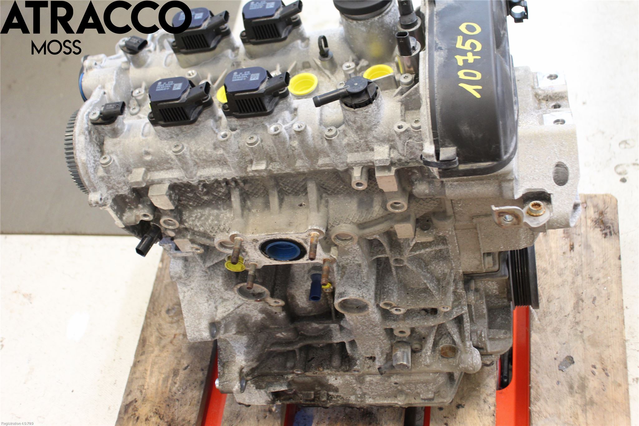 Volkswagen VW TIGUAN 16-24 Motor Bensin