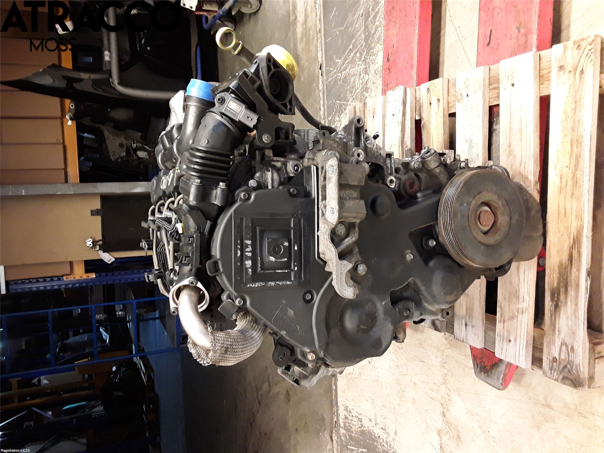 Ford FOCUS     04-07 Motor Diesel