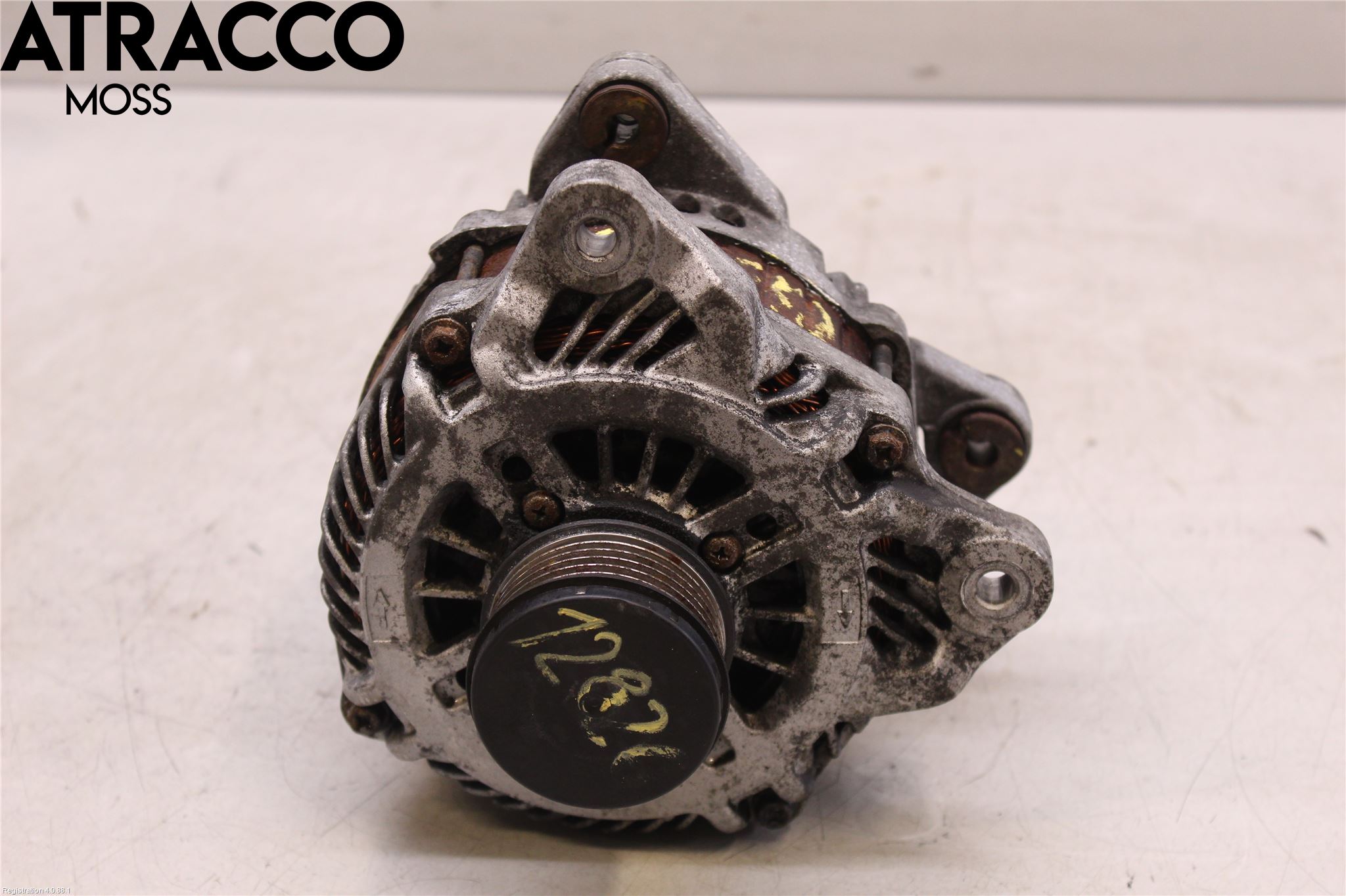 Renault SCÉNIC III / GRAND SCÉNIC 09-16 Dynamo