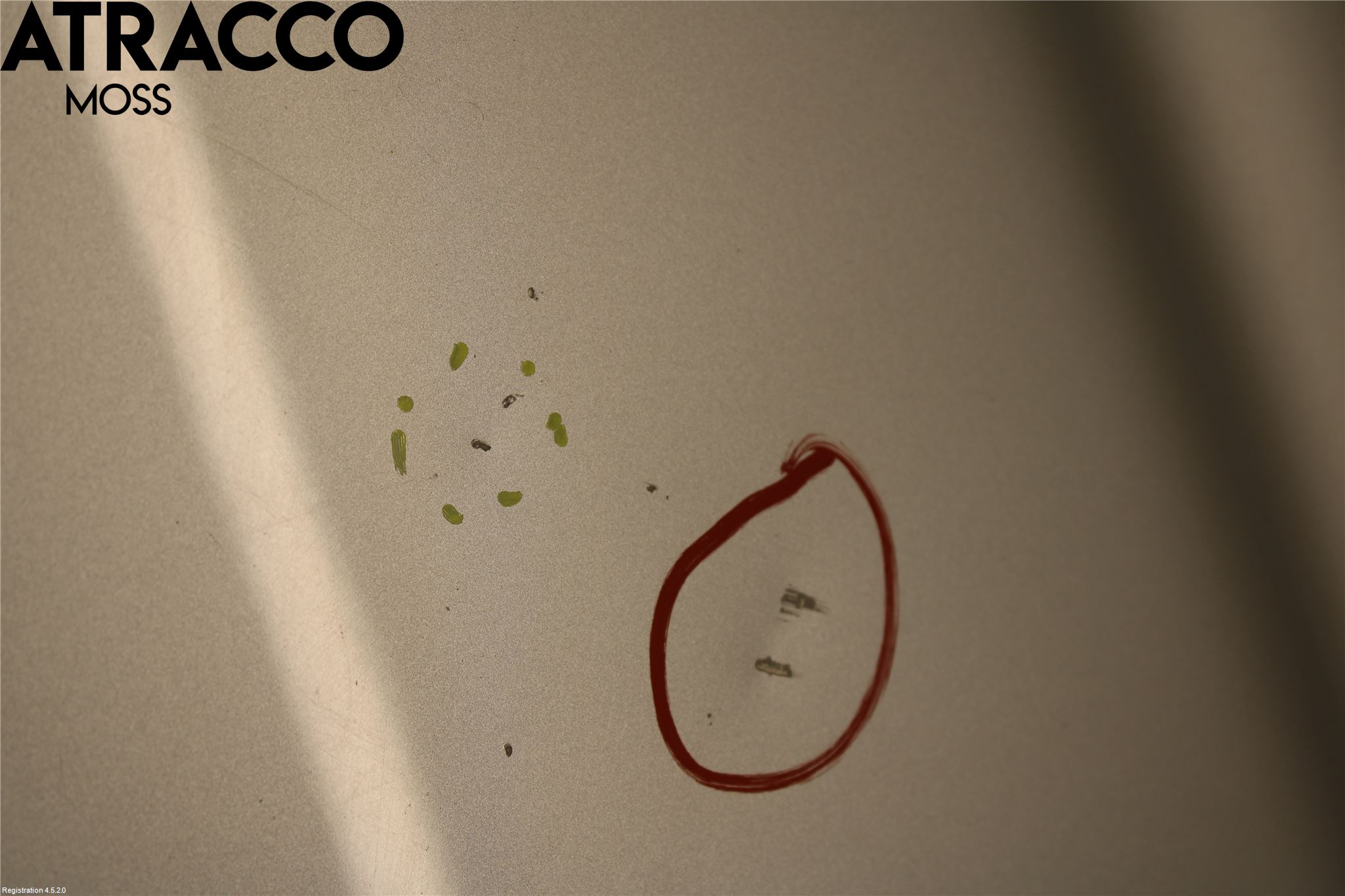 Mercedes-Benz MB E-KLASS (W211) 02-09 Panser