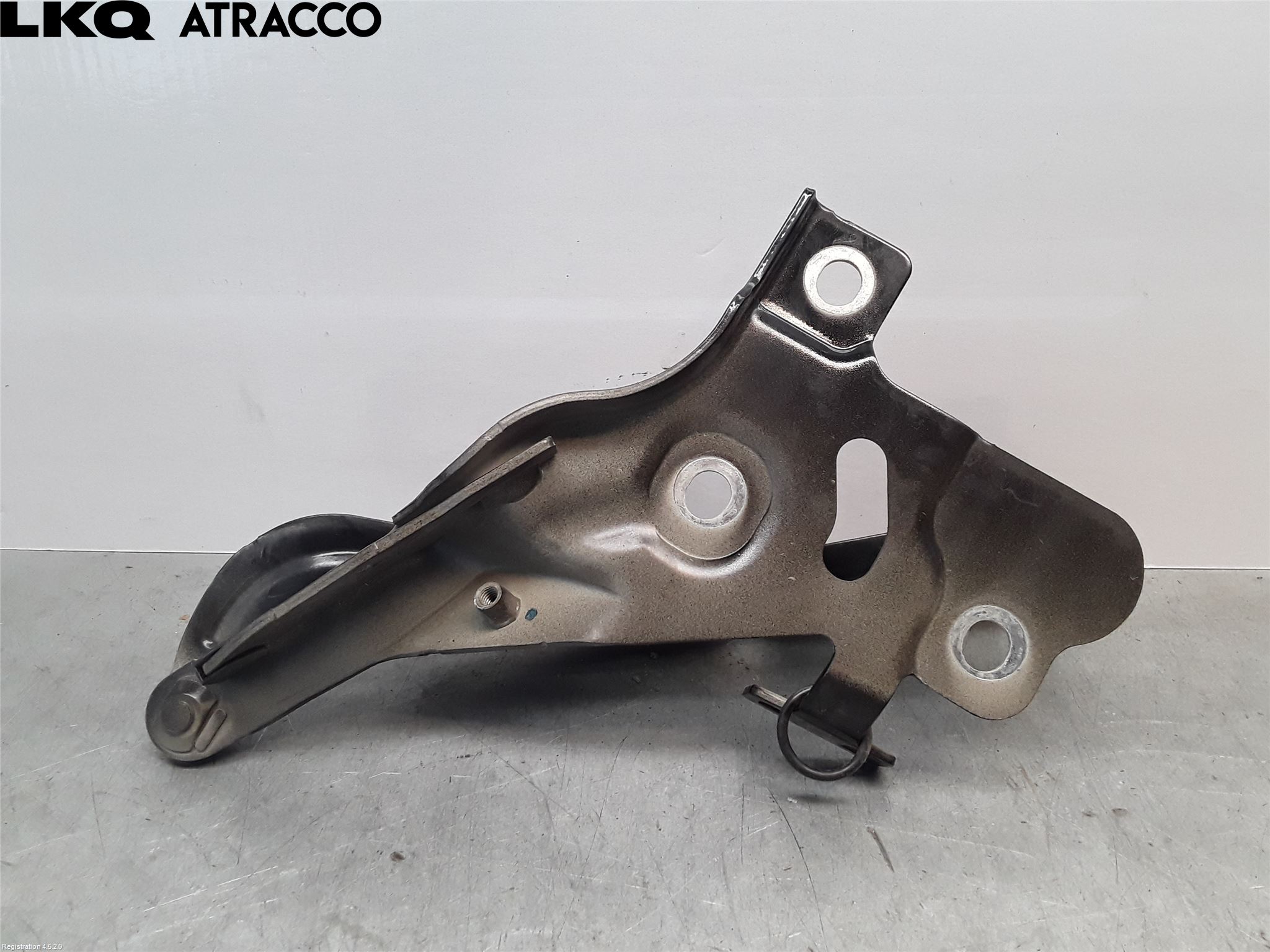 Audi E-TRON, S GE 19- Panser Hengsel - Hengsler