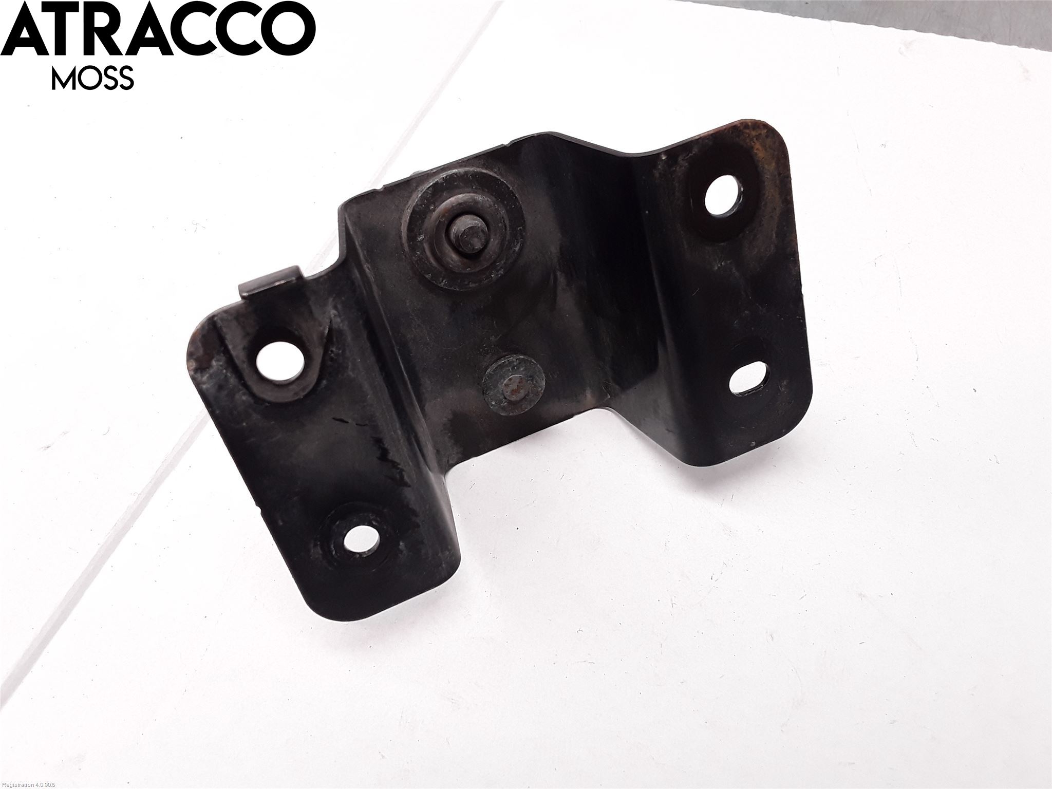 Jaguar I-PACE 18- Panser Hengsel - Hengsler