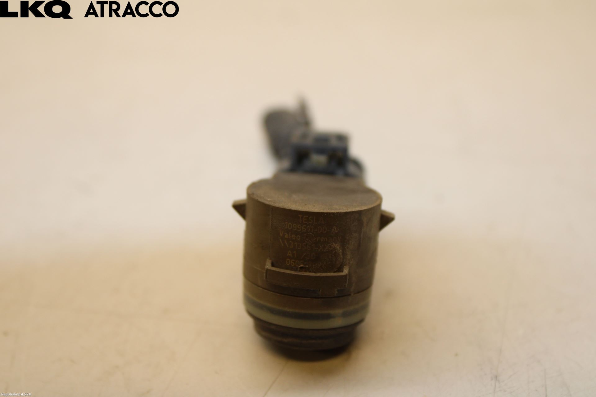 Tesla MODEL X 16- Sensor Ryggesensor