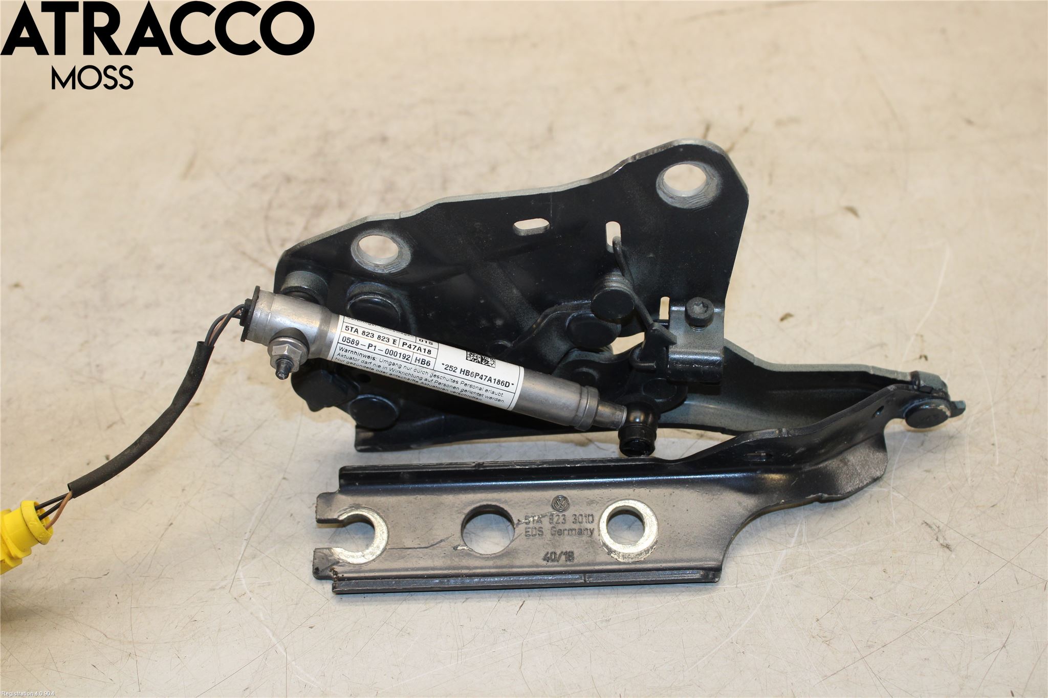Volkswagen VW TOURAN 16- Panser Hengsel - Hengsler
