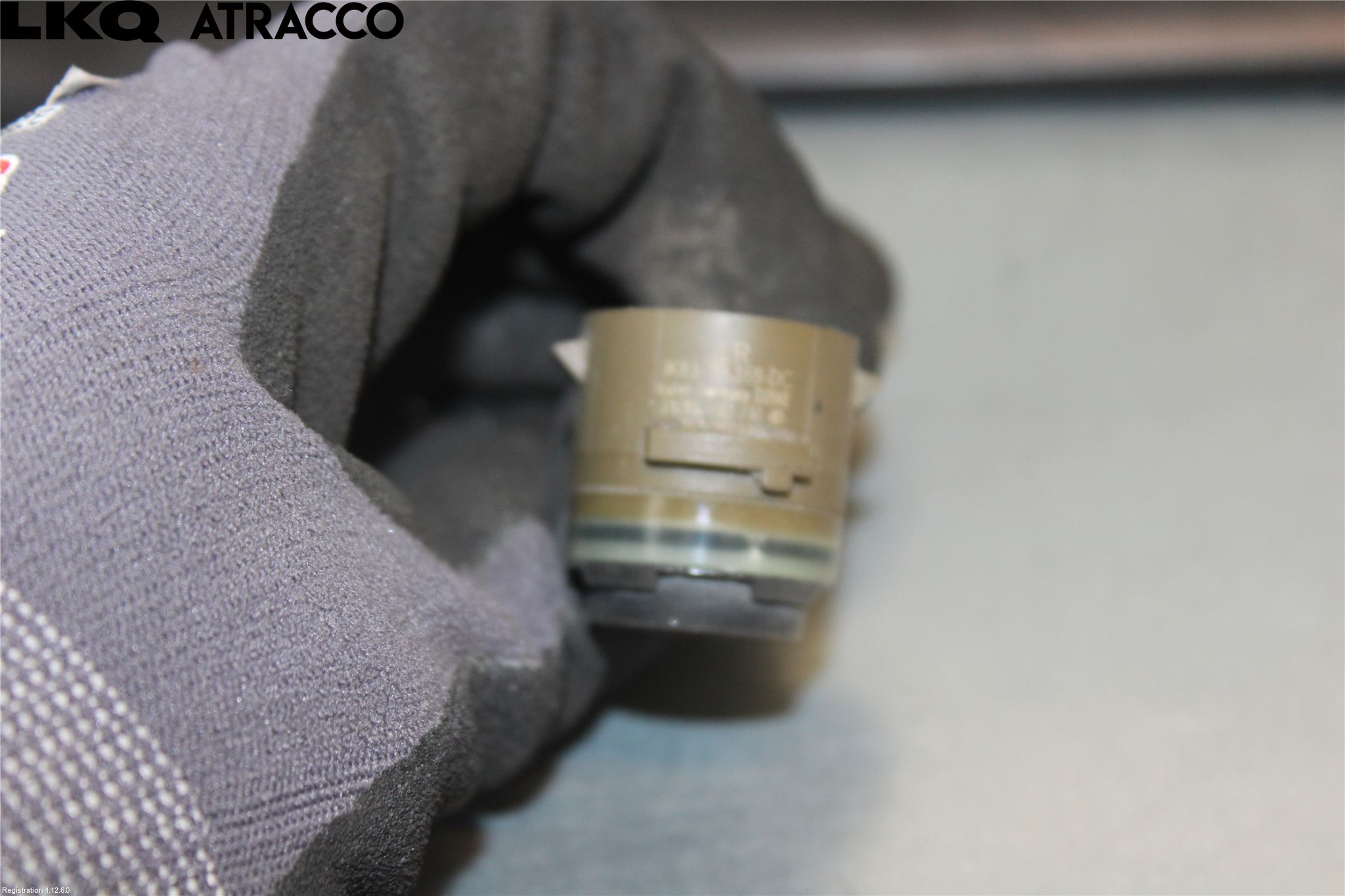 Jaguar F-PACE Sensor Ryggesensor