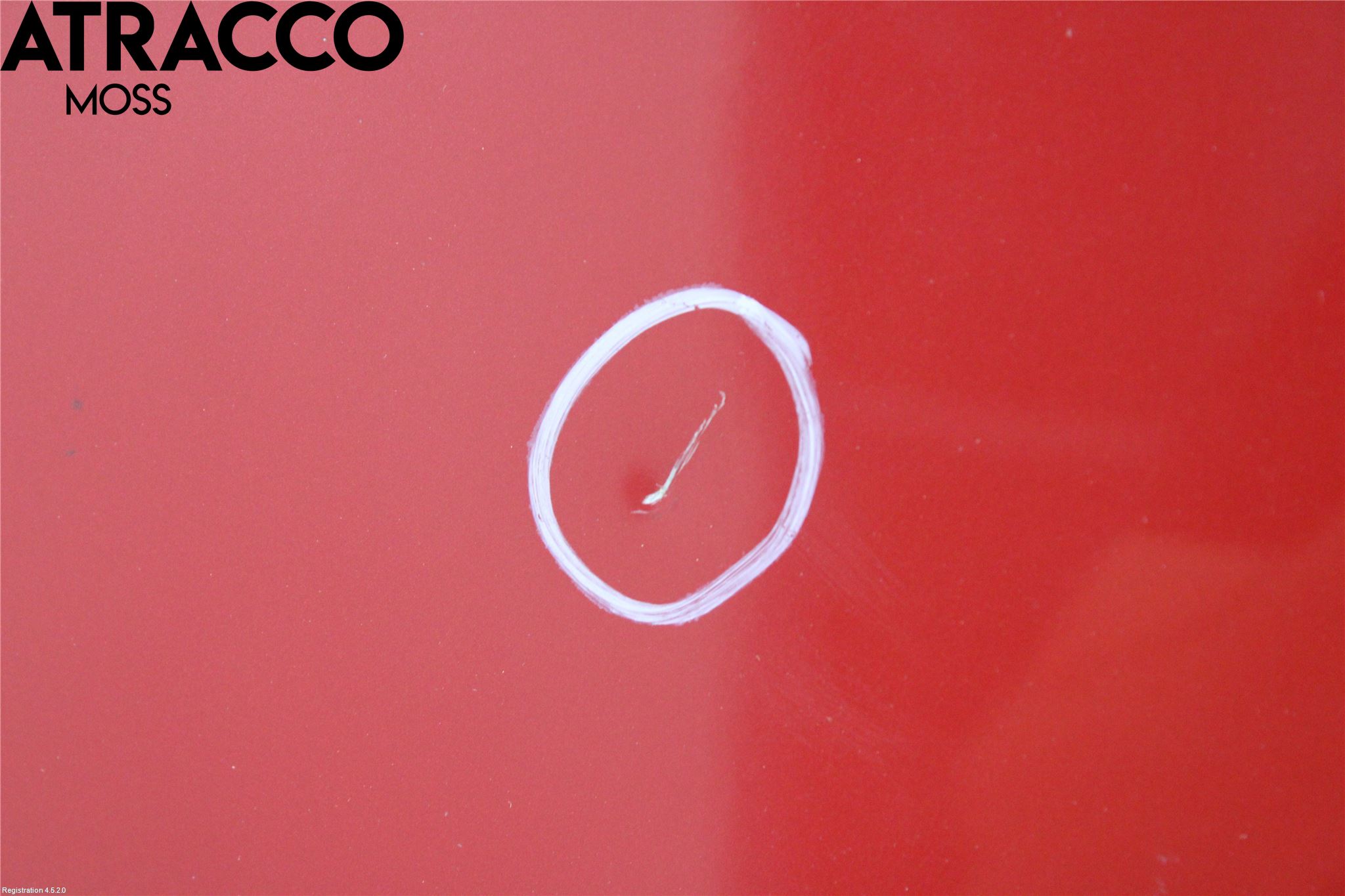 Toyota PRIUS ZVW30 09-20 Panser