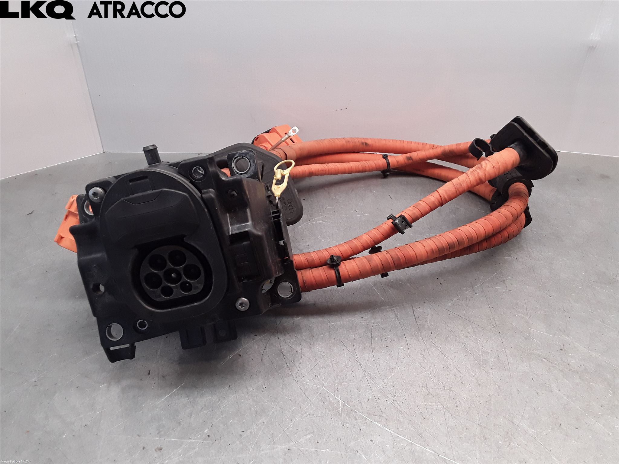 Audi E-TRON, S GE 19- Ledningsnett