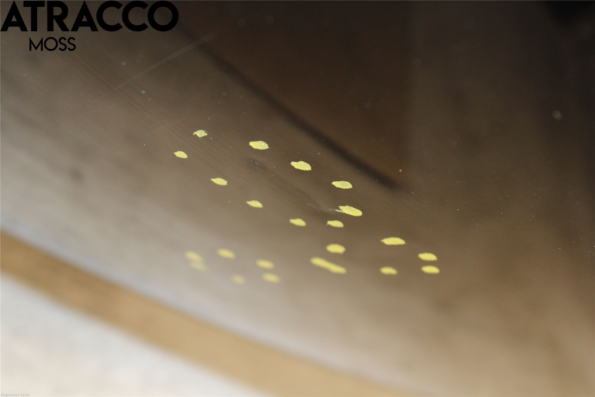 Ford FIESTA 09-12 Panser