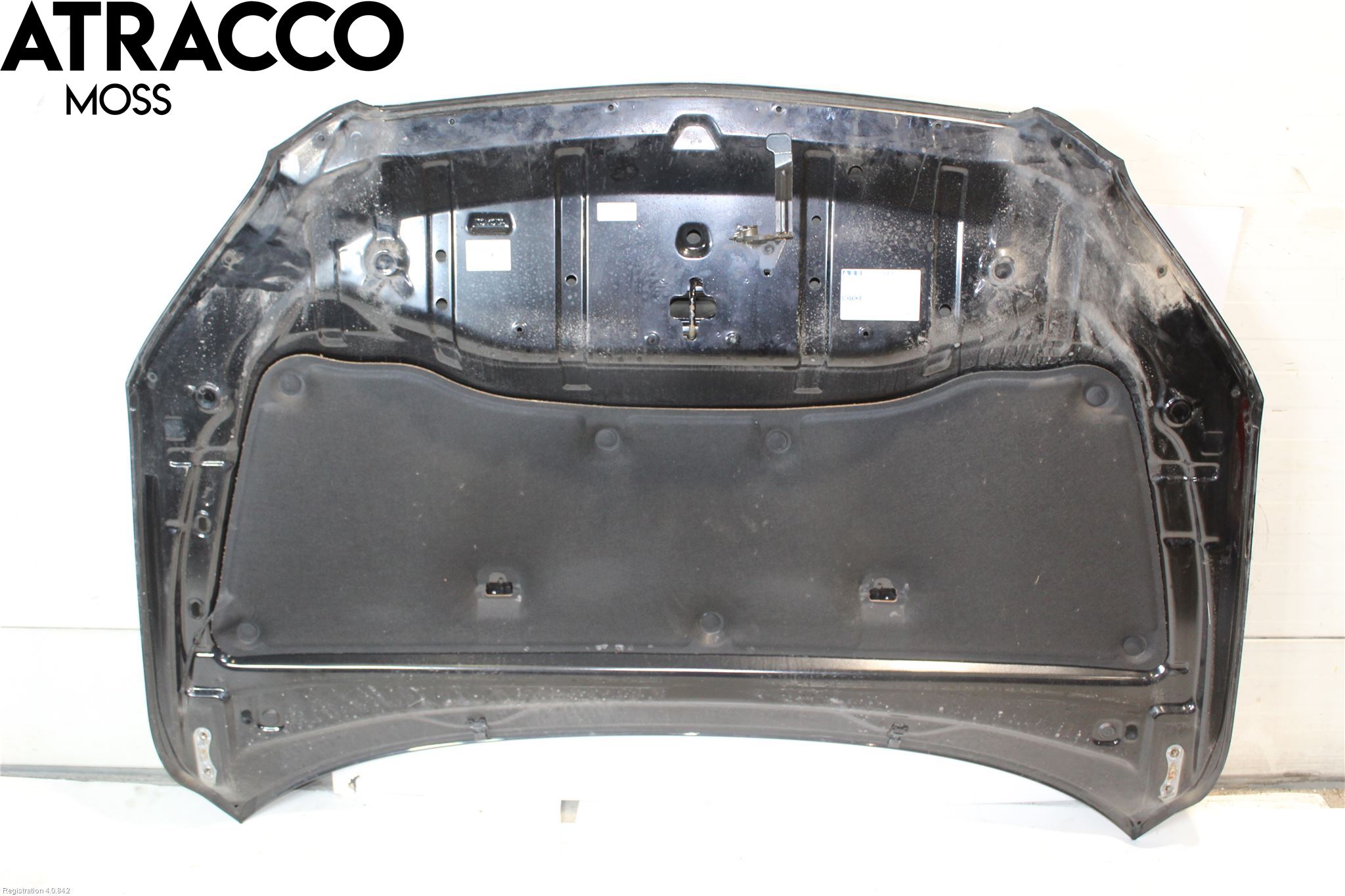 Toyota RAV 4 06-12 Panser