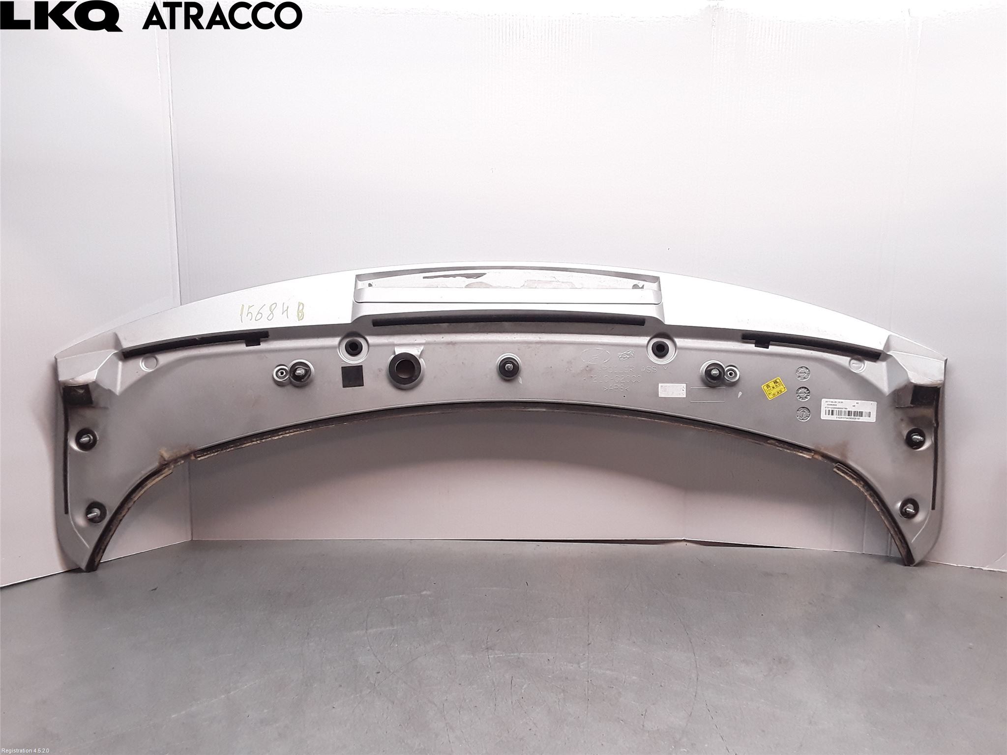 Hyundai IONIQ AE 17-22 Spoiler Bakluke