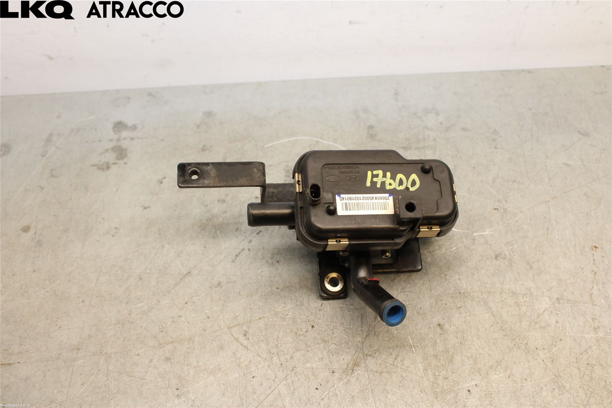 Kia NIRO (DE) 17-22 Varme Sirkulasjonspumpe