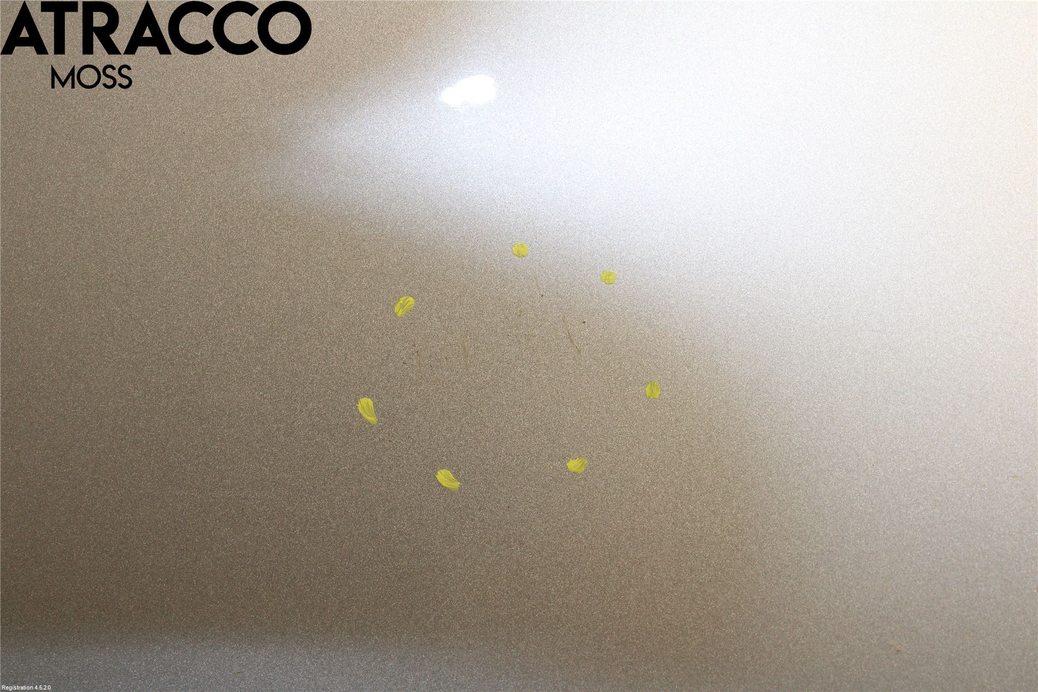 BMW 5 E60/61 Sed/Tou 02-10 Dør 4D Bak Venstre