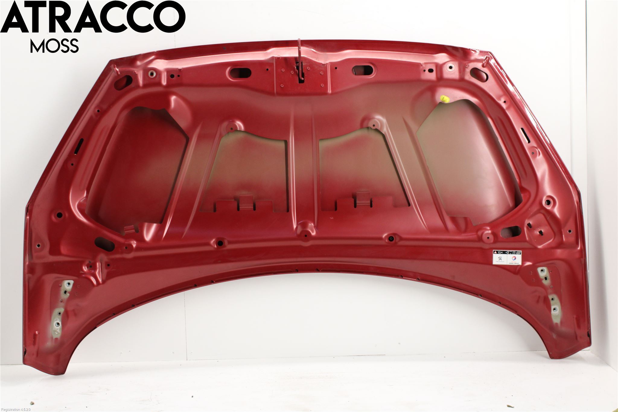 Peugeot 308 08-13 Panser