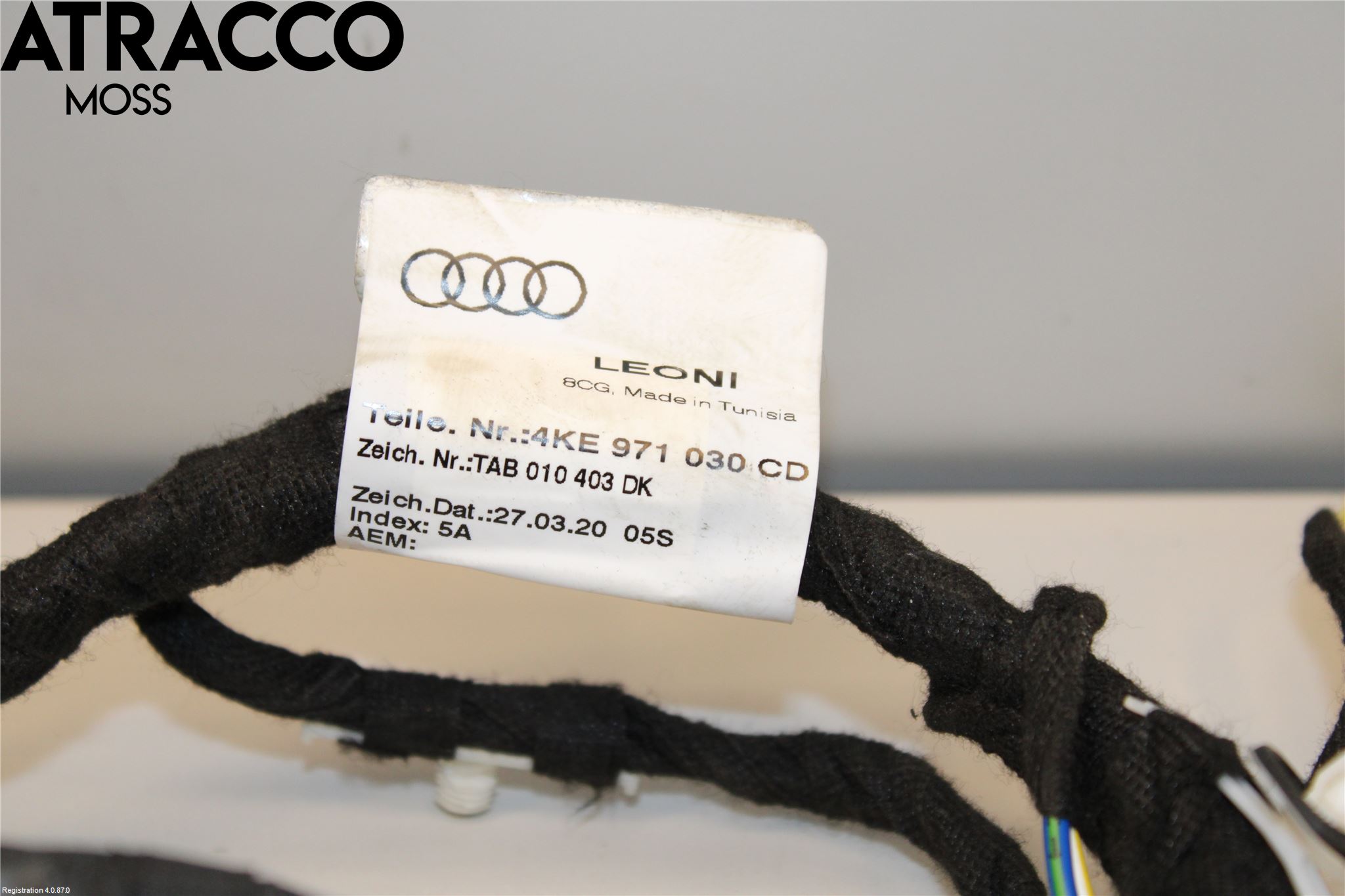 Audi E-TRON, S GE 19- Ledningsnett