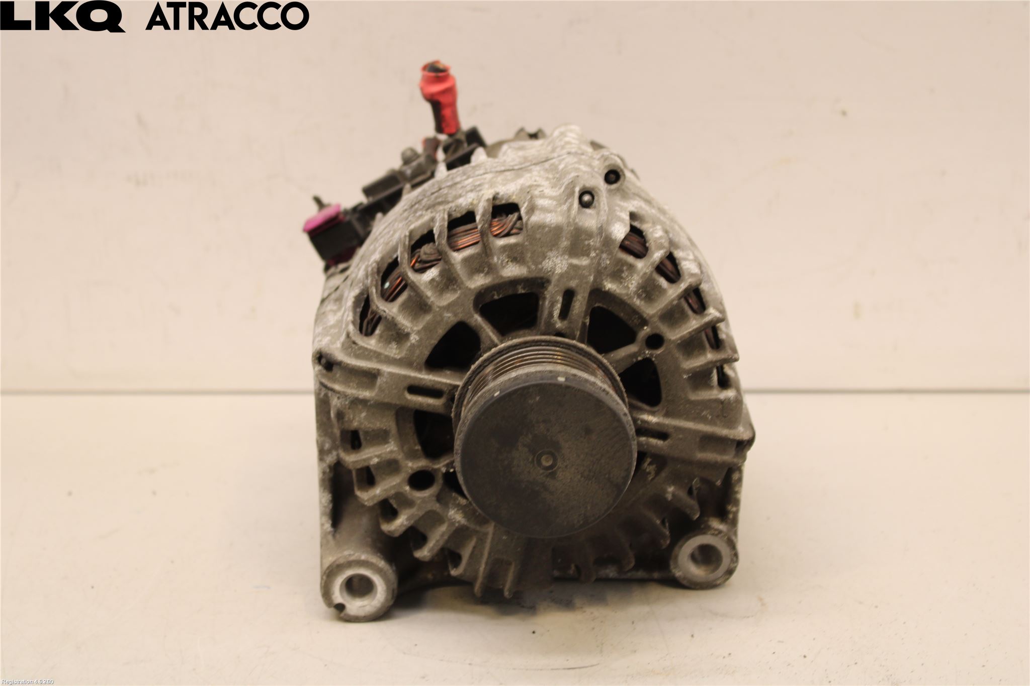 BMW X1 E84 10-15 Dynamo