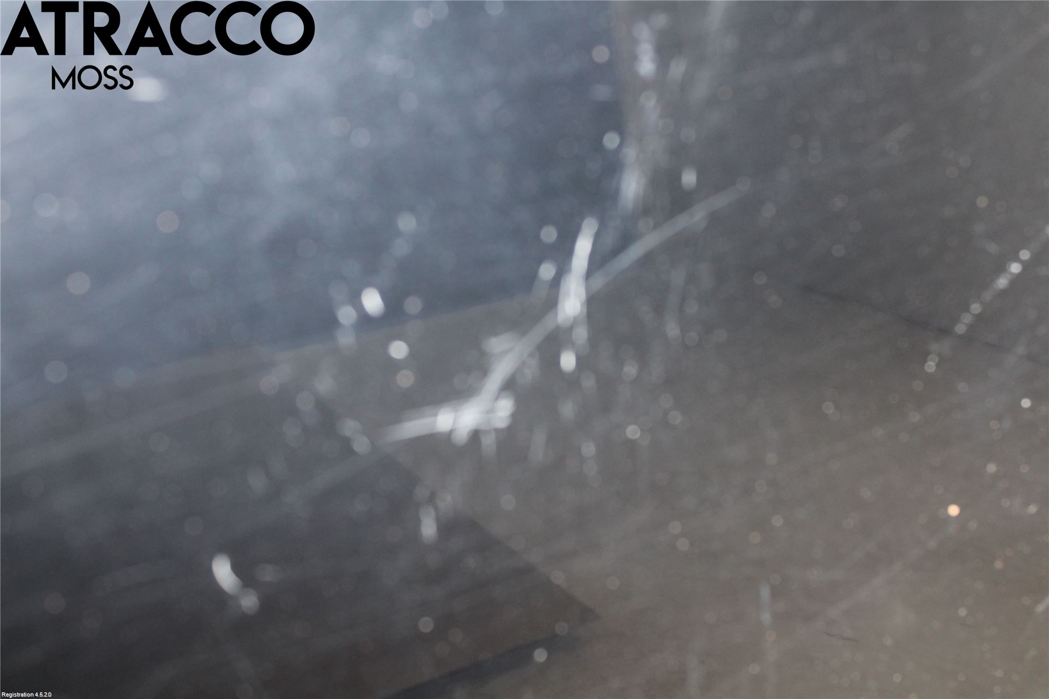 Toyota PRIUS ZVW30 09-20 Dør 4D Bak Venstre