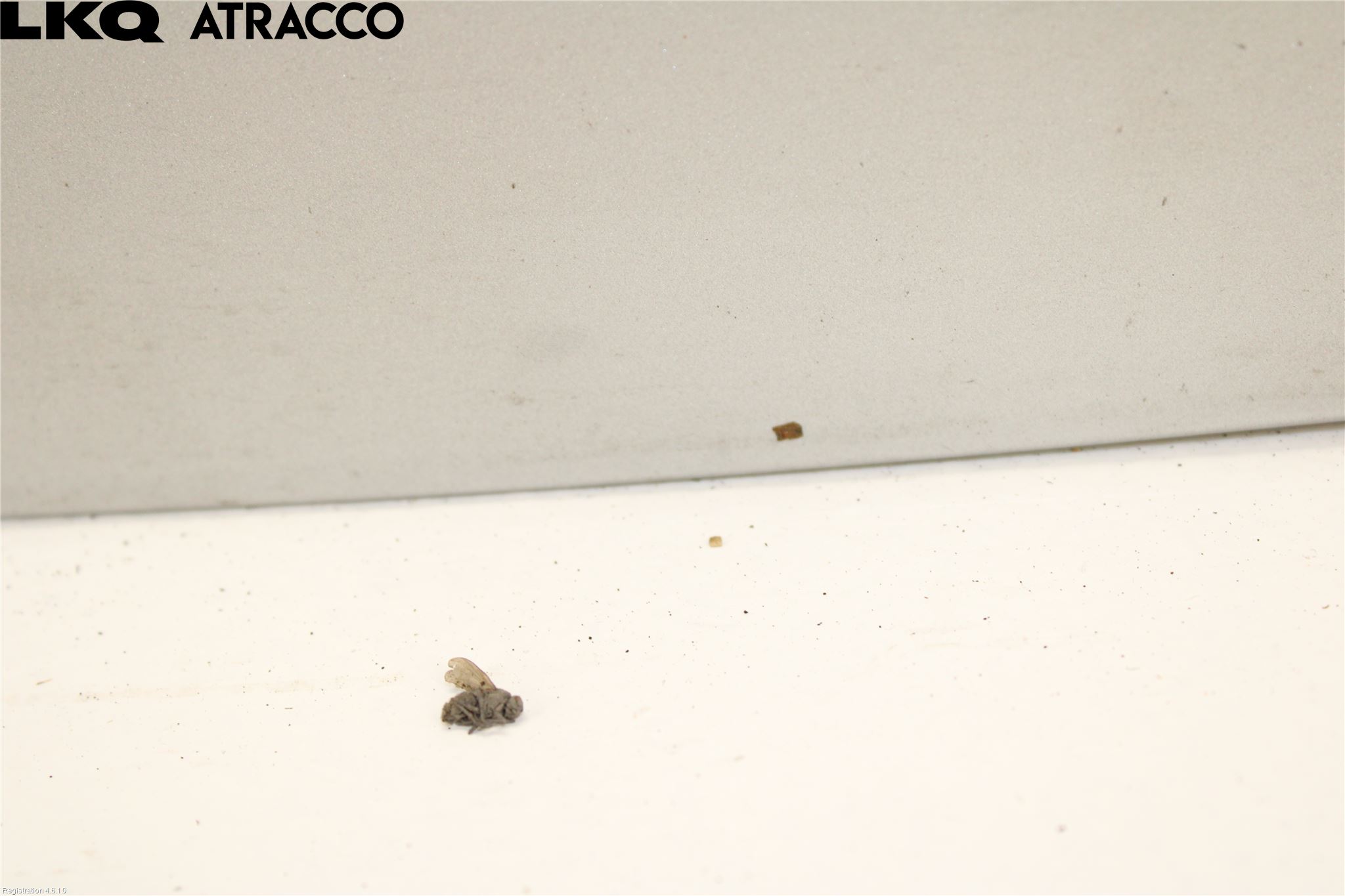 Peugeot EXPERT/E-EXPERT 17- Panser