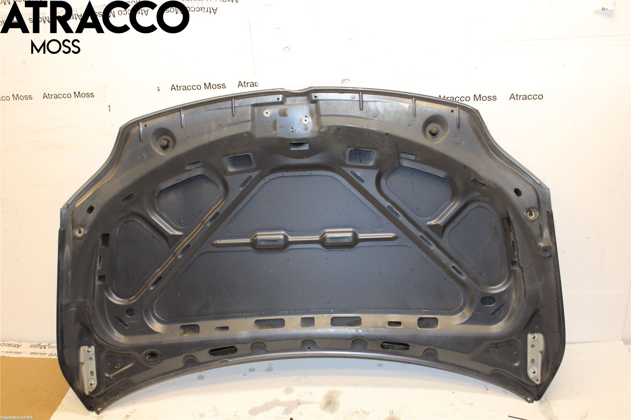 Volkswagen VW GOLF PLUS/CROSS GOLF 04-14 Panser