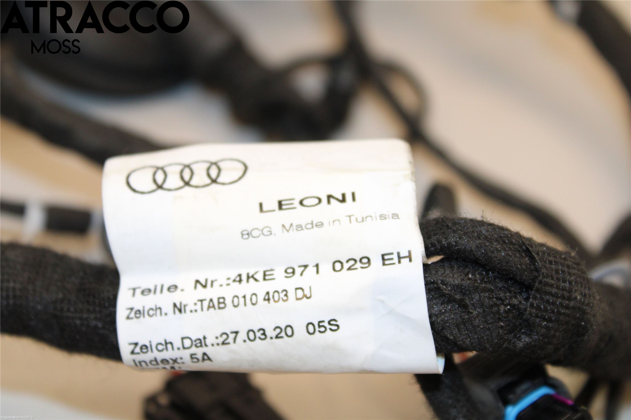 Audi E-TRON, S GE 19- Ledningsnett