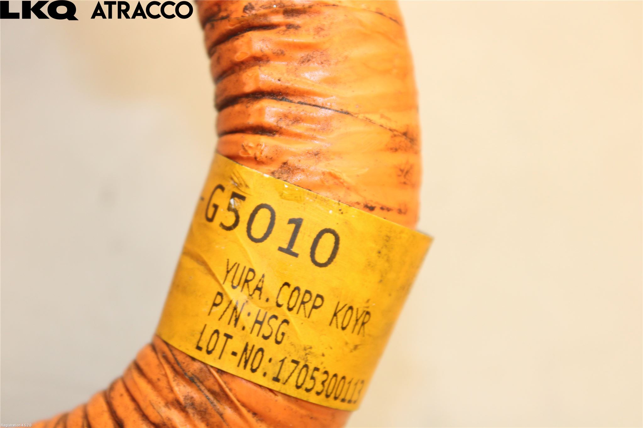 Kia NIRO (DE) 17-22 Kabelhärva Högspänning