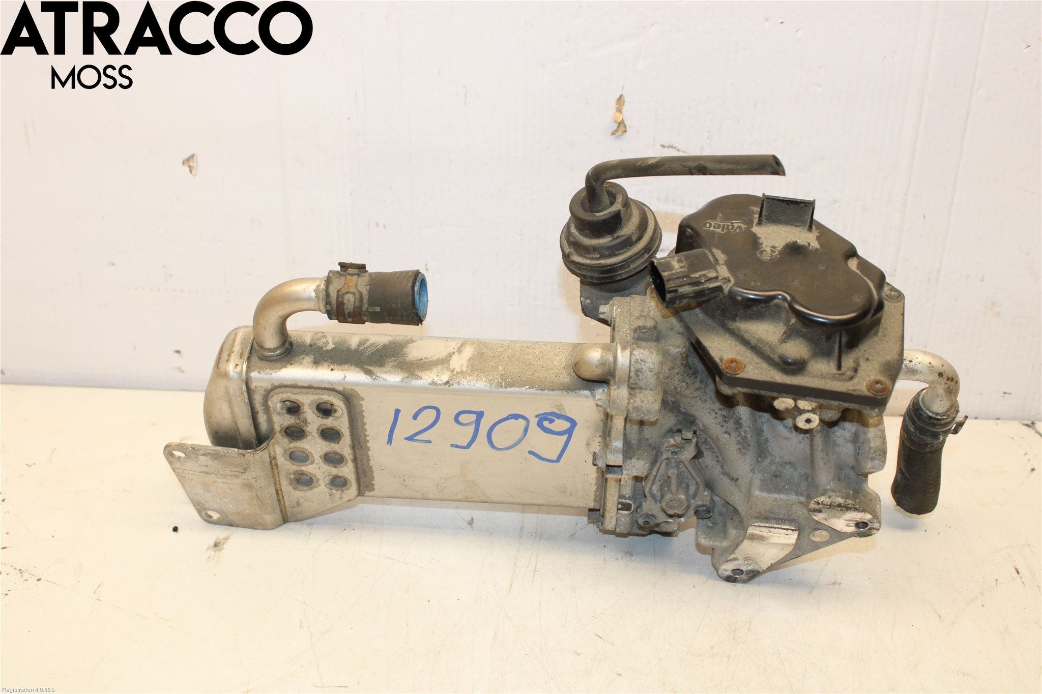 Volkswagen VW TRANSP/CARAVELLE (T5) 04-15 Eksos Kjøler