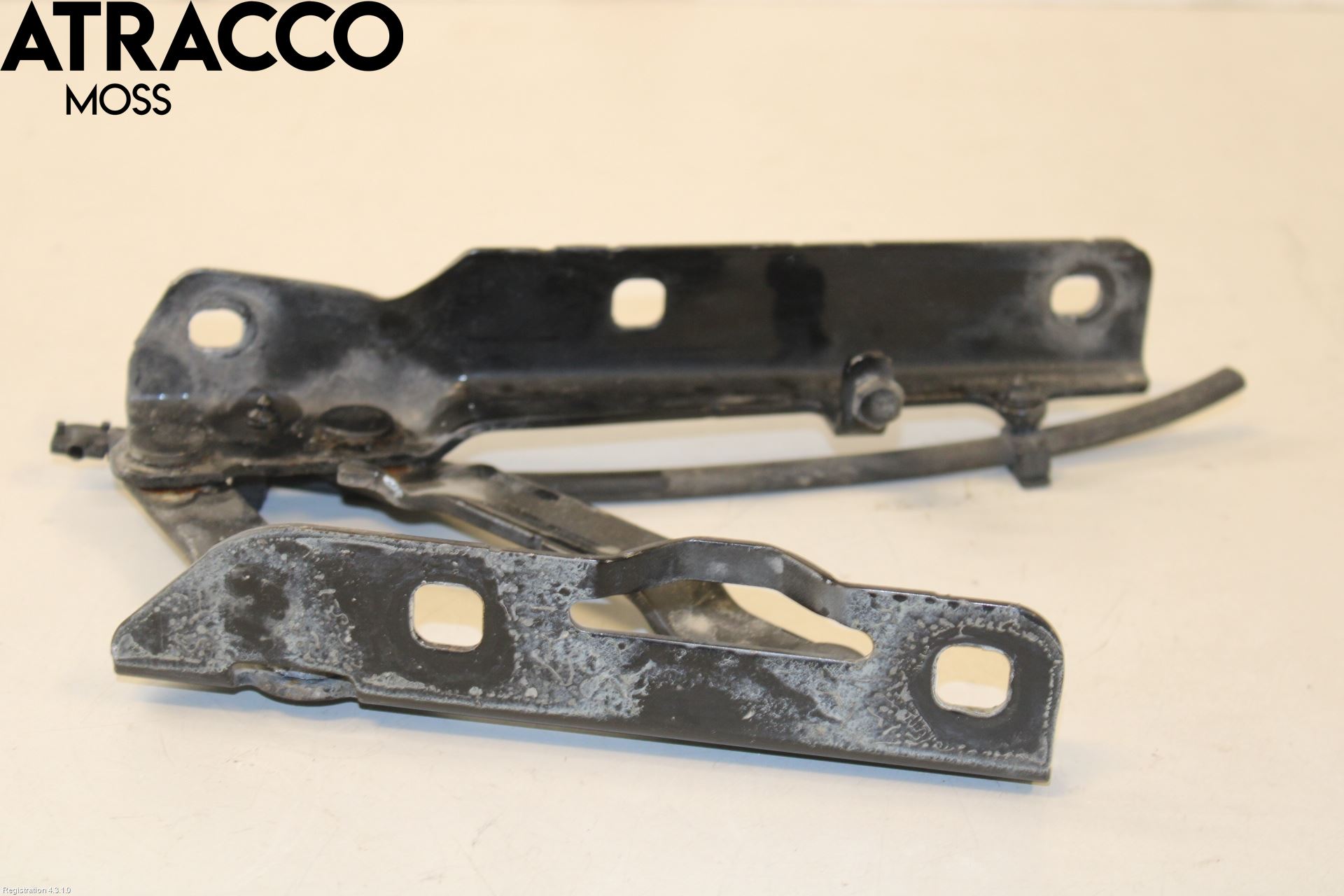 Tesla MODEL S 13- Panser Hengsel - Hengsler