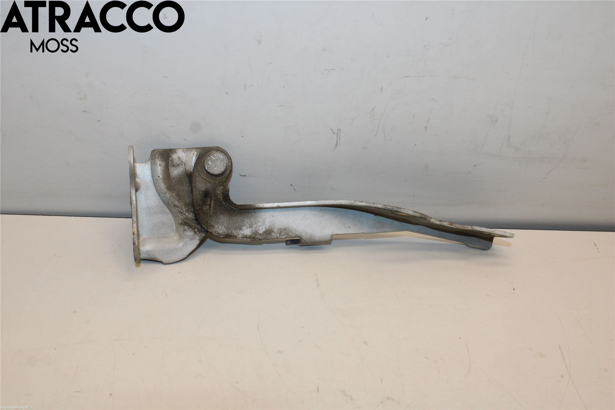 Hyundai GETZ Panser Hengsel - Hengsler