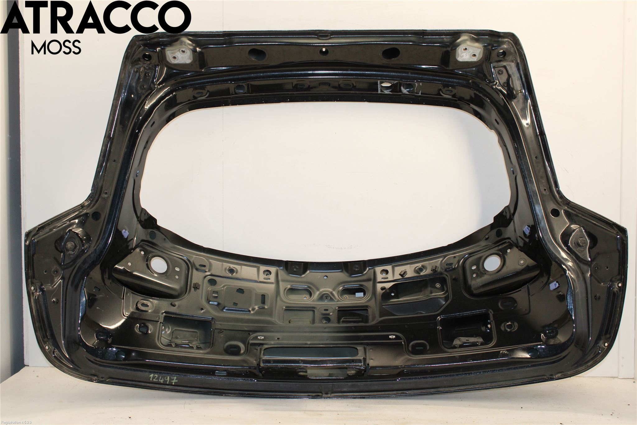 Opel INSIGNIA 09-16 Bakluke Stv