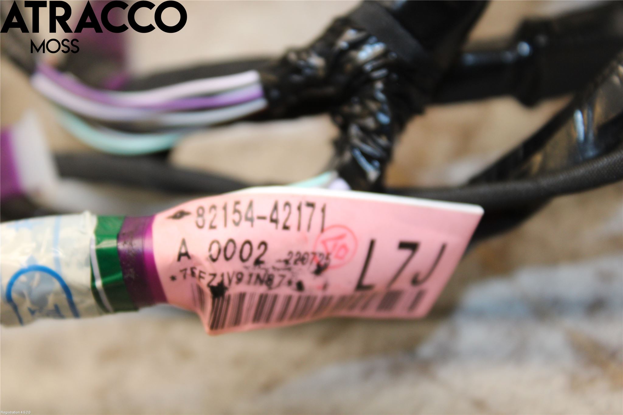 Toyota RAV4 19- Ledningsnett