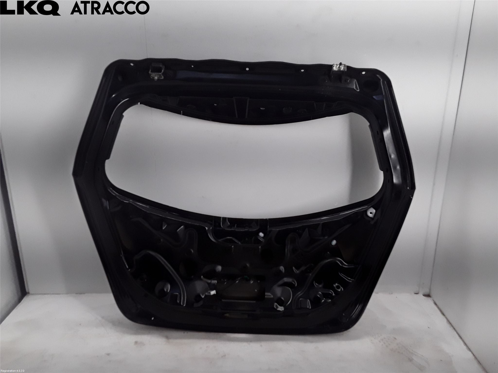 Nissan LEAF 11-17 Bakluke Cc - Kombi