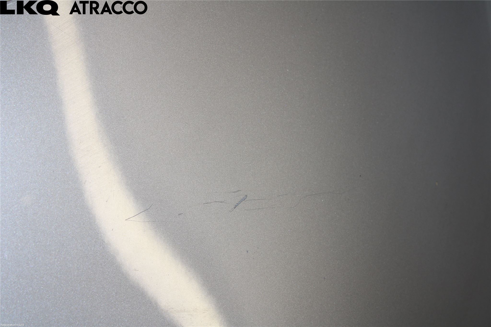 Renault ZOE/E-TECH 13- Panser