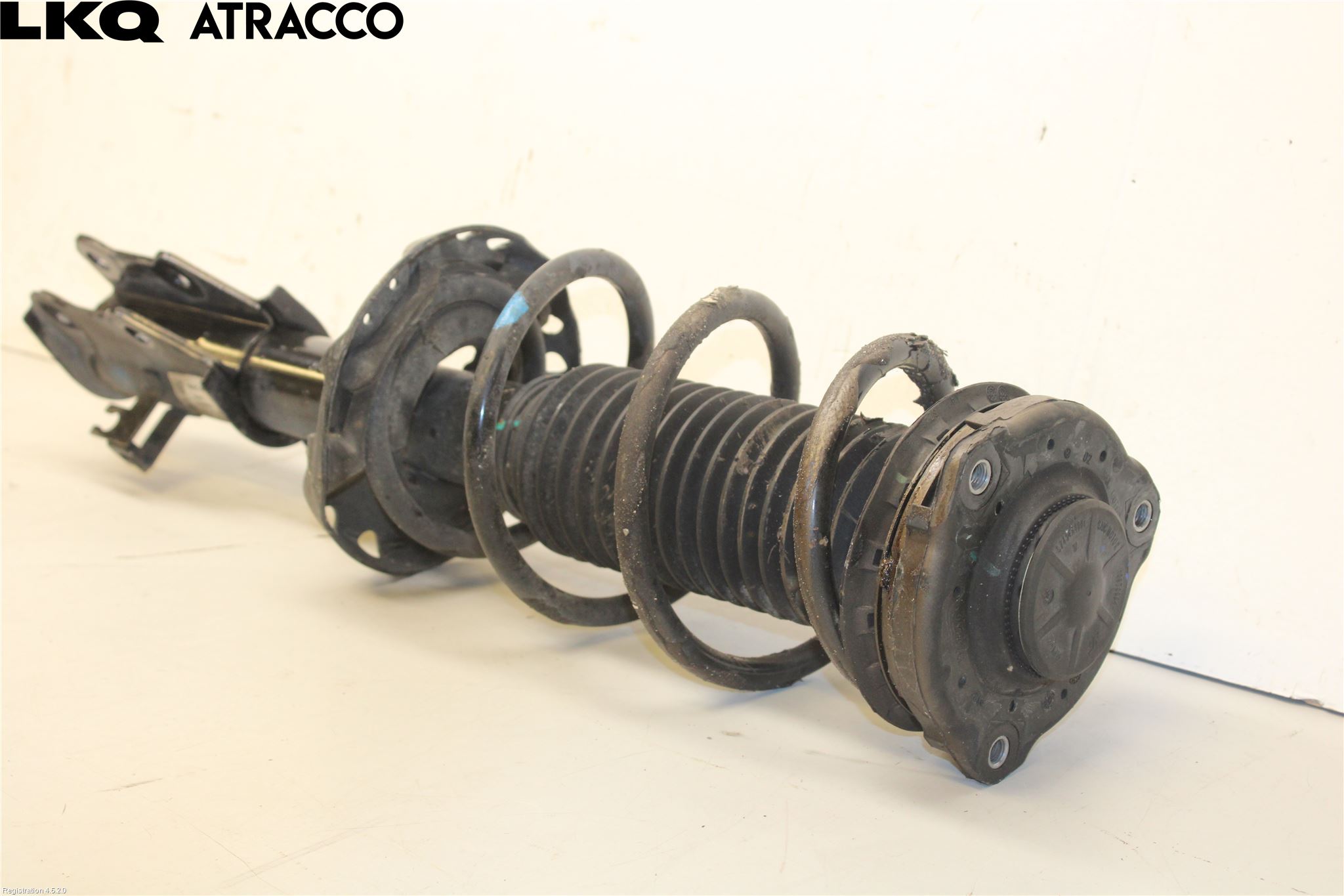 MG 4 23- Fjærbein Foran Venstre