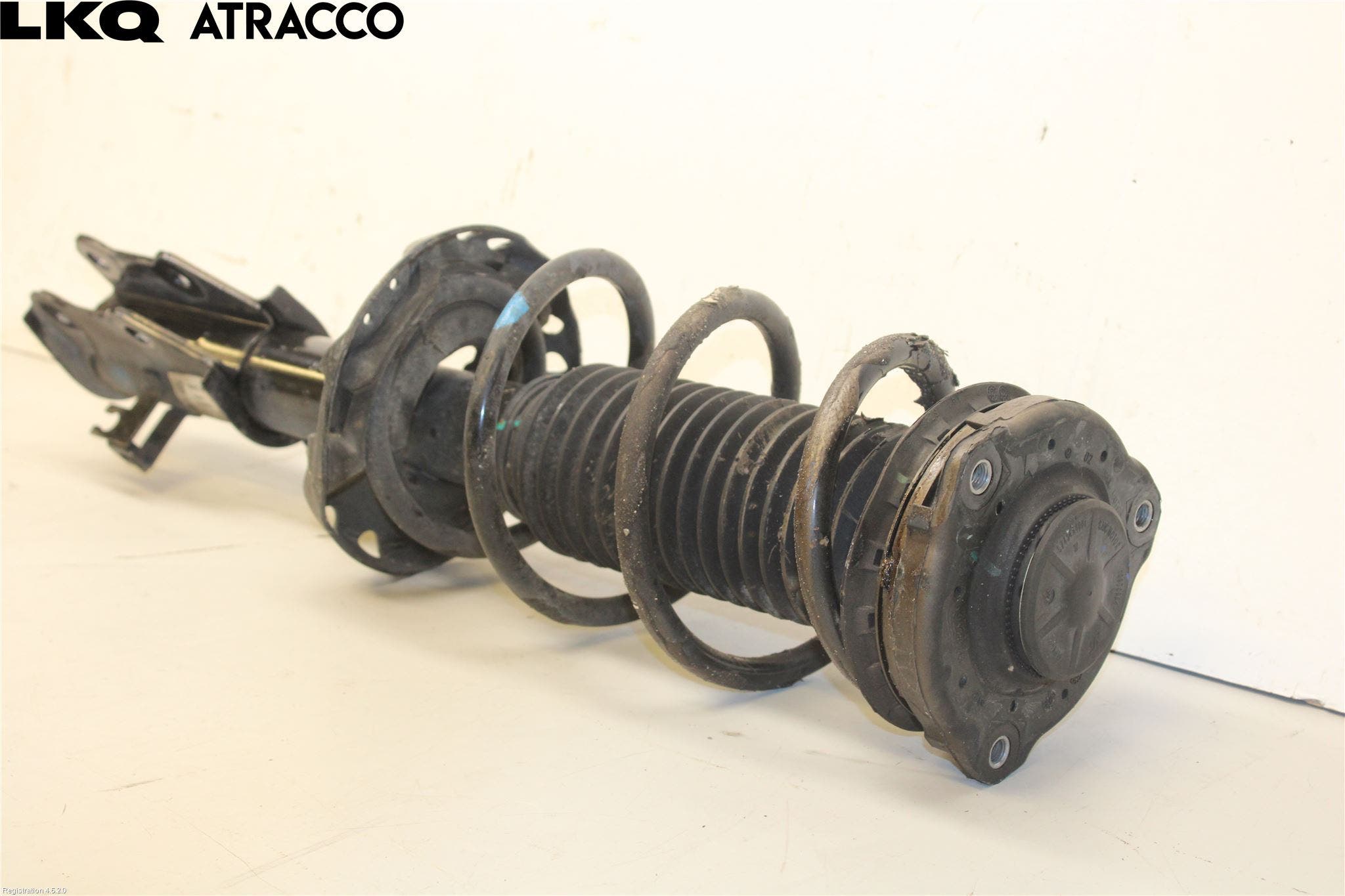 MG 4 23- Fjærbein Foran Venstre