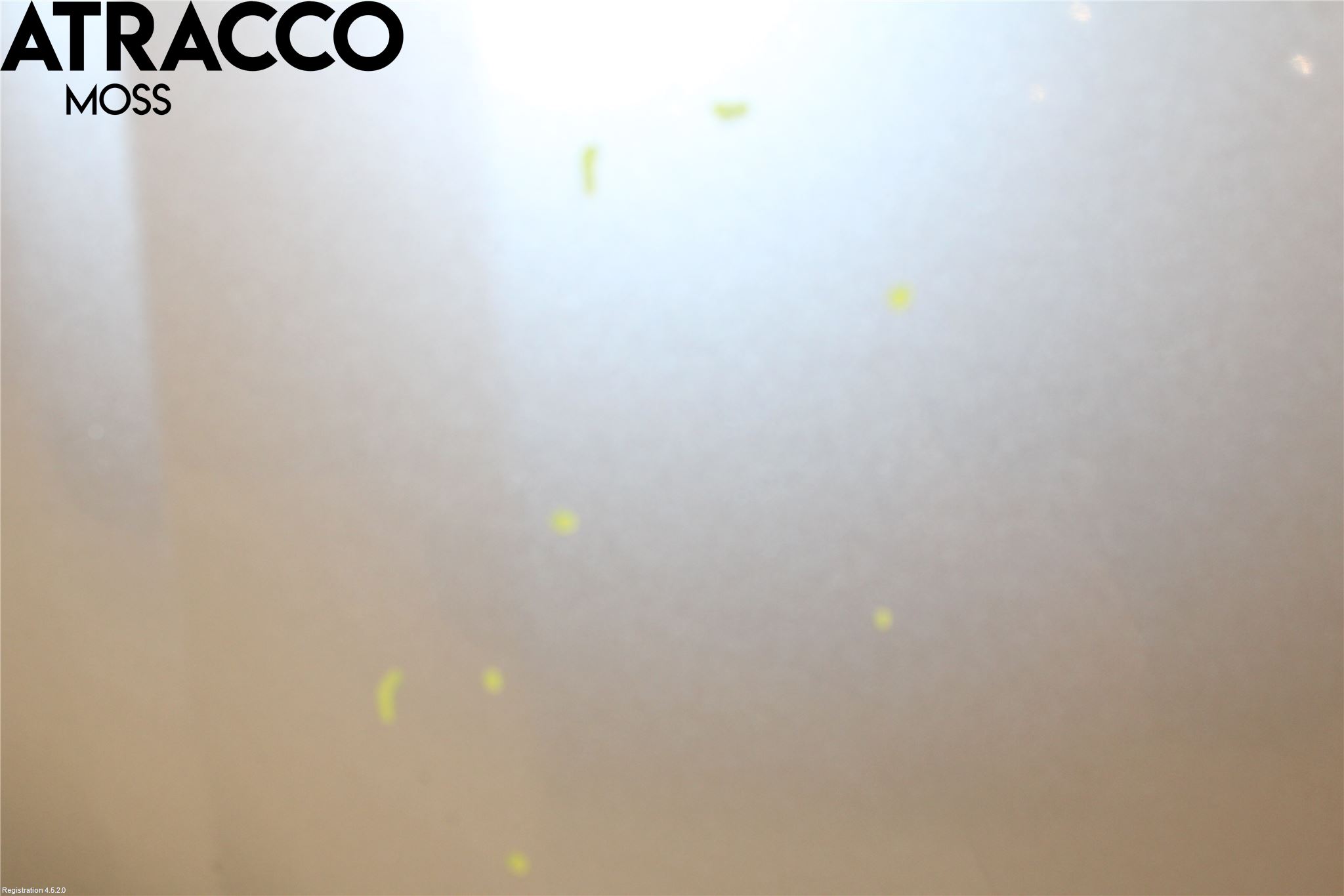 Audi A8/S8 4D 94-02 Panser