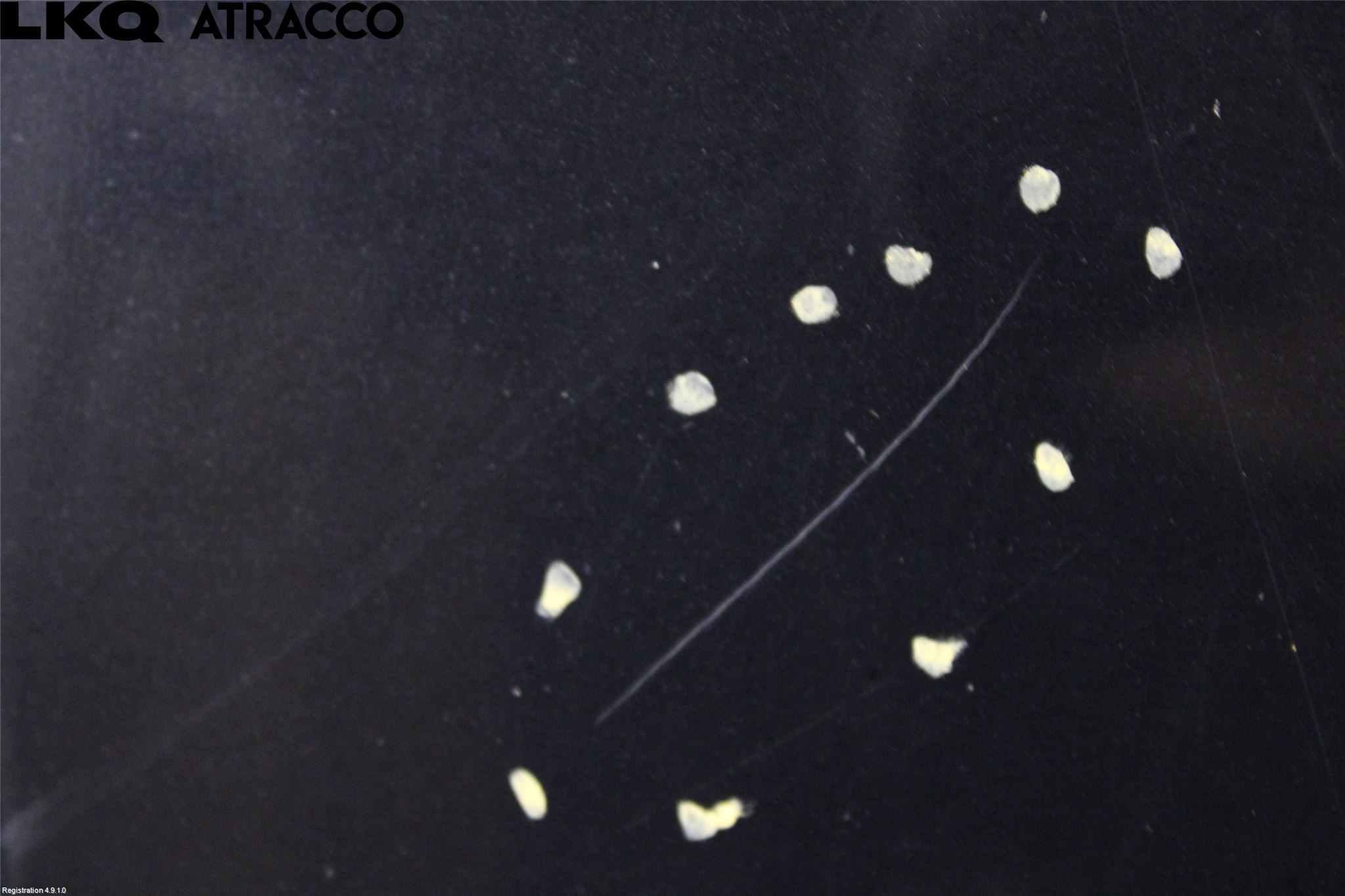 BMW X1 E84 10-15 Panser