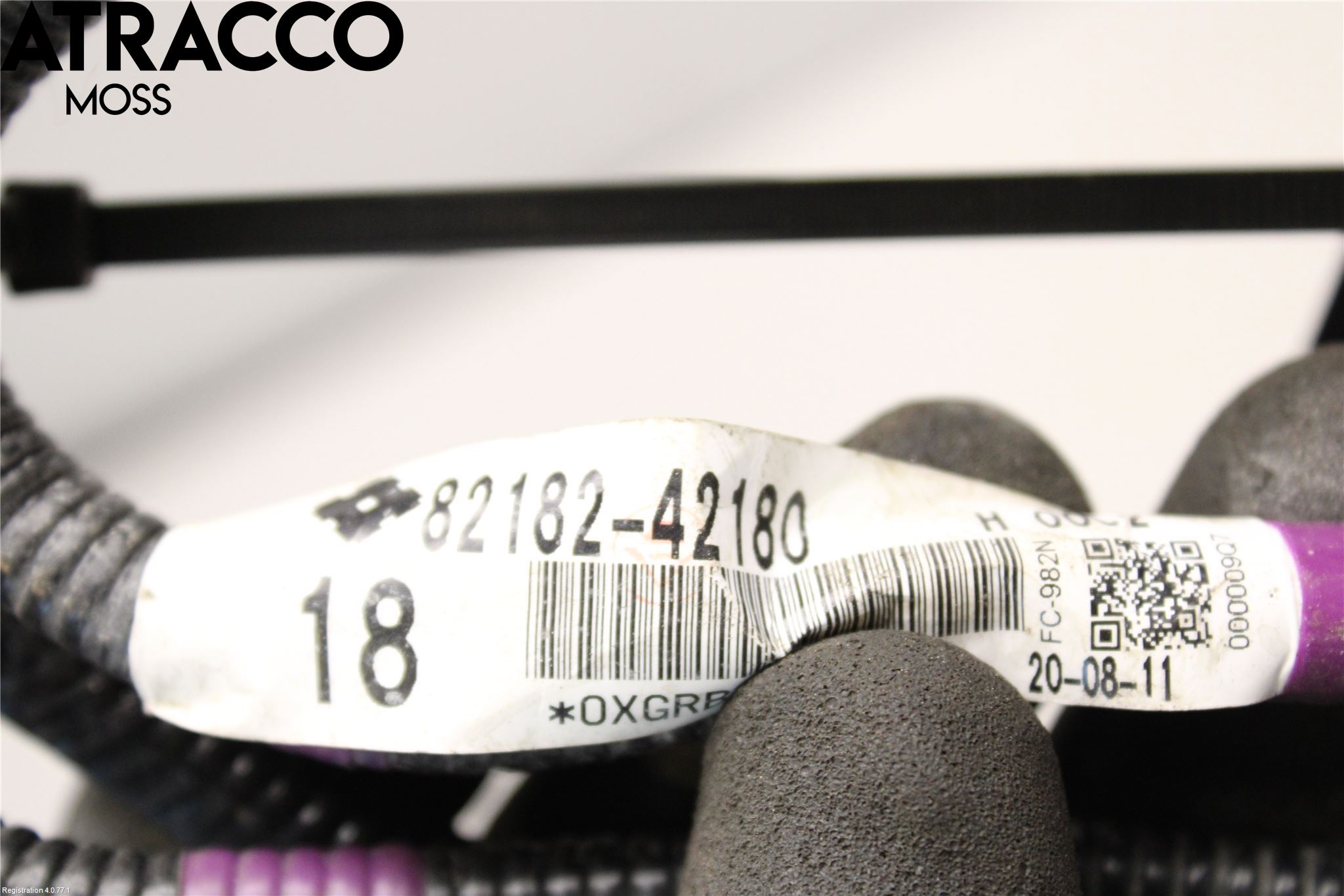 Toyota RAV4 19- Ledningsnett